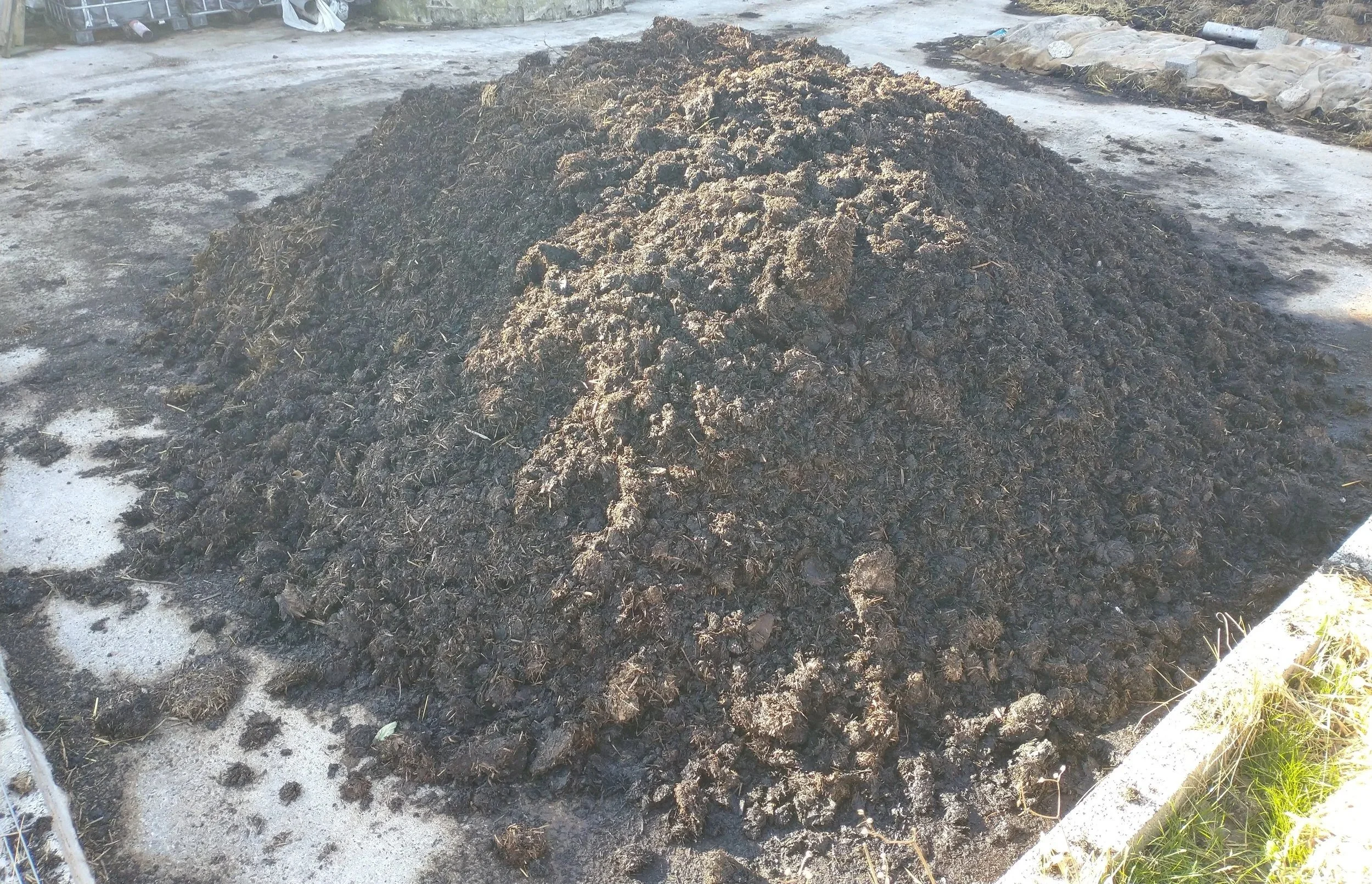 2025-08-24+EWM+B1+Compost+Curing.jpg