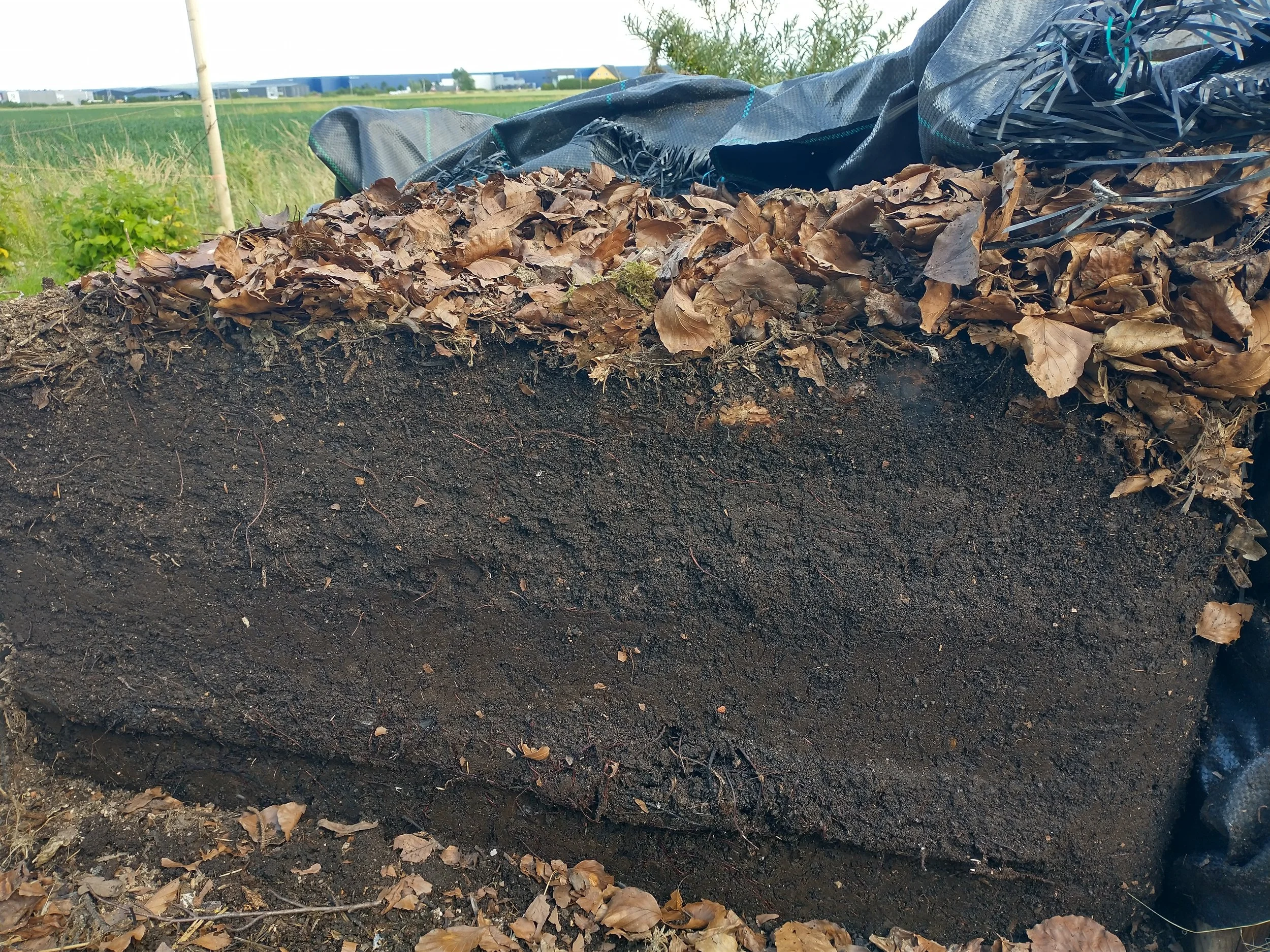 Cross-section of soil with leaf mulch on top, showing layered dirt and organic material, in a field.