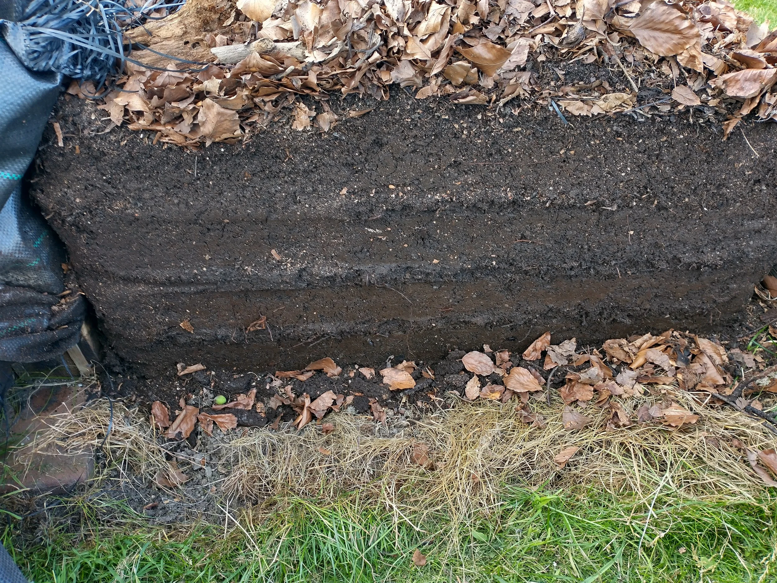 Close-up photo of a freshly dug trench in soil, surrounded by dry leaves, grass, and a blue gardening tarp.