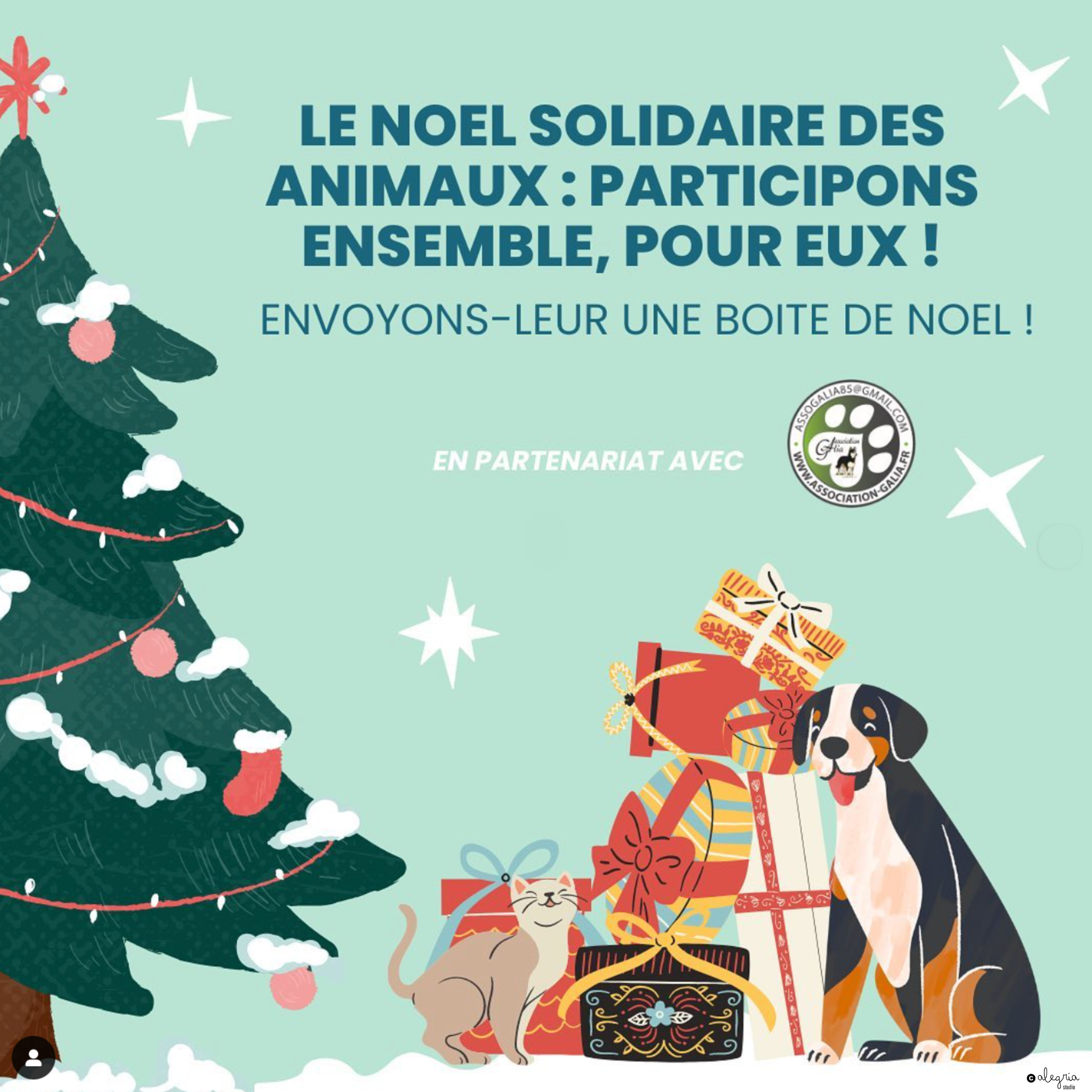 Affiche illustrée avec sapin de Noel sur le côté, et une montage de cadeaux avec un chien et un chat qui le côté droit