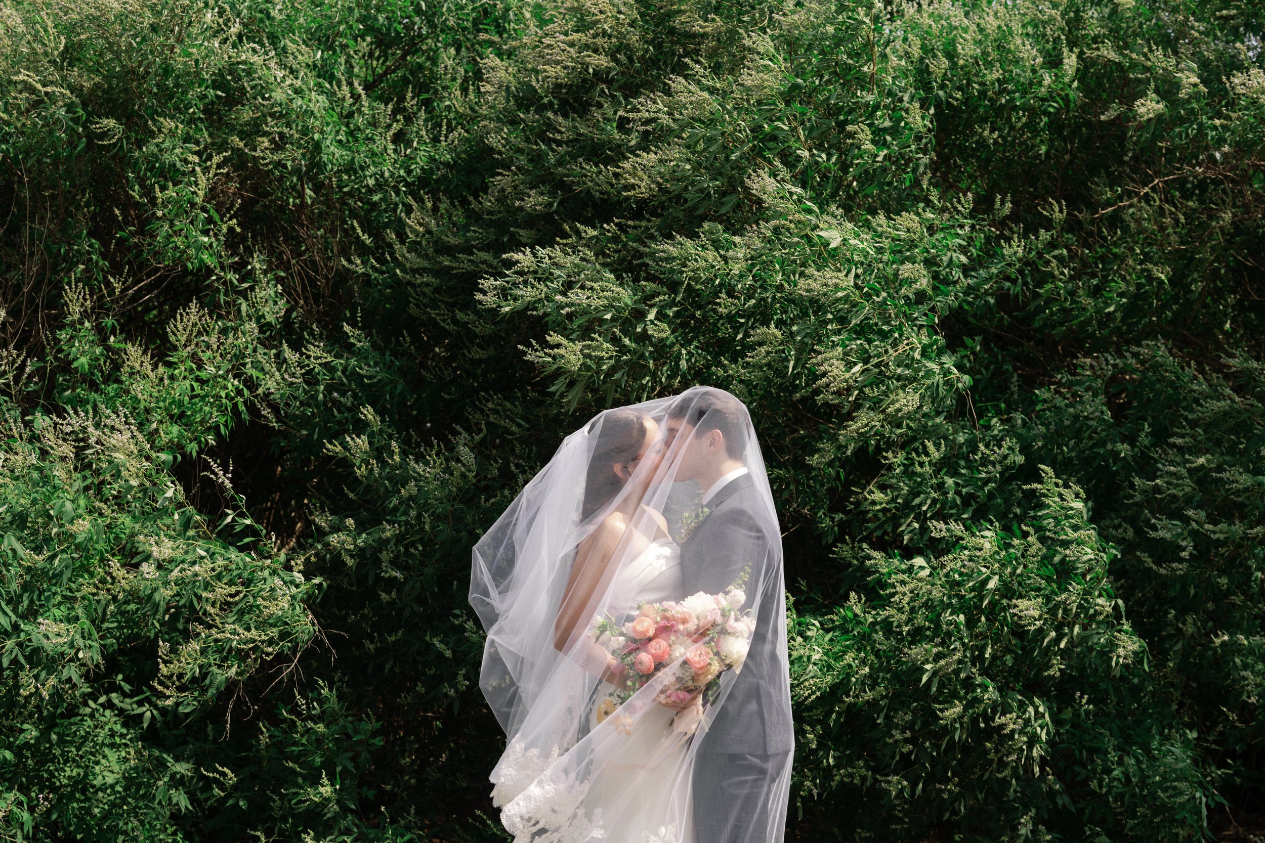 Haley Folkman Photography