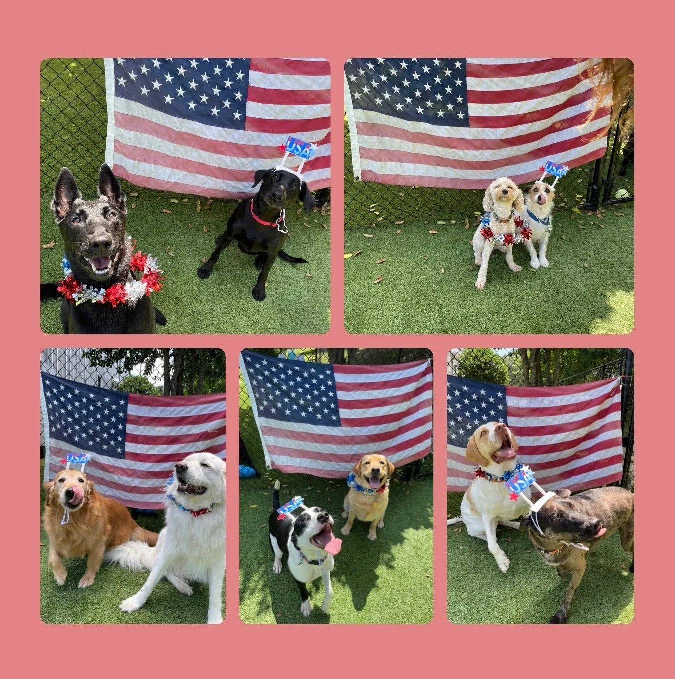 Daycare 4th of July.jpeg