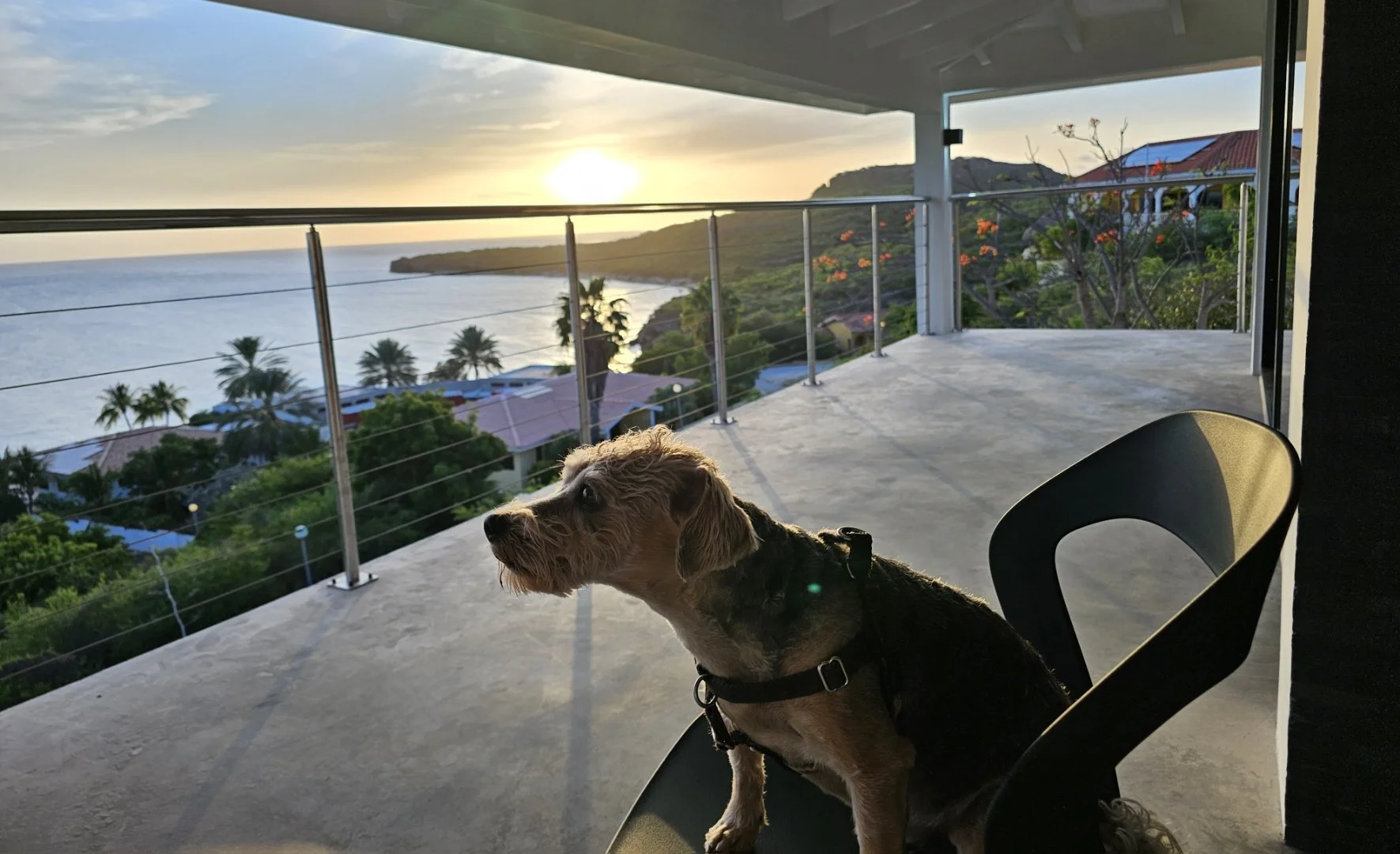 Brixx Haigis Cauraco.jpg