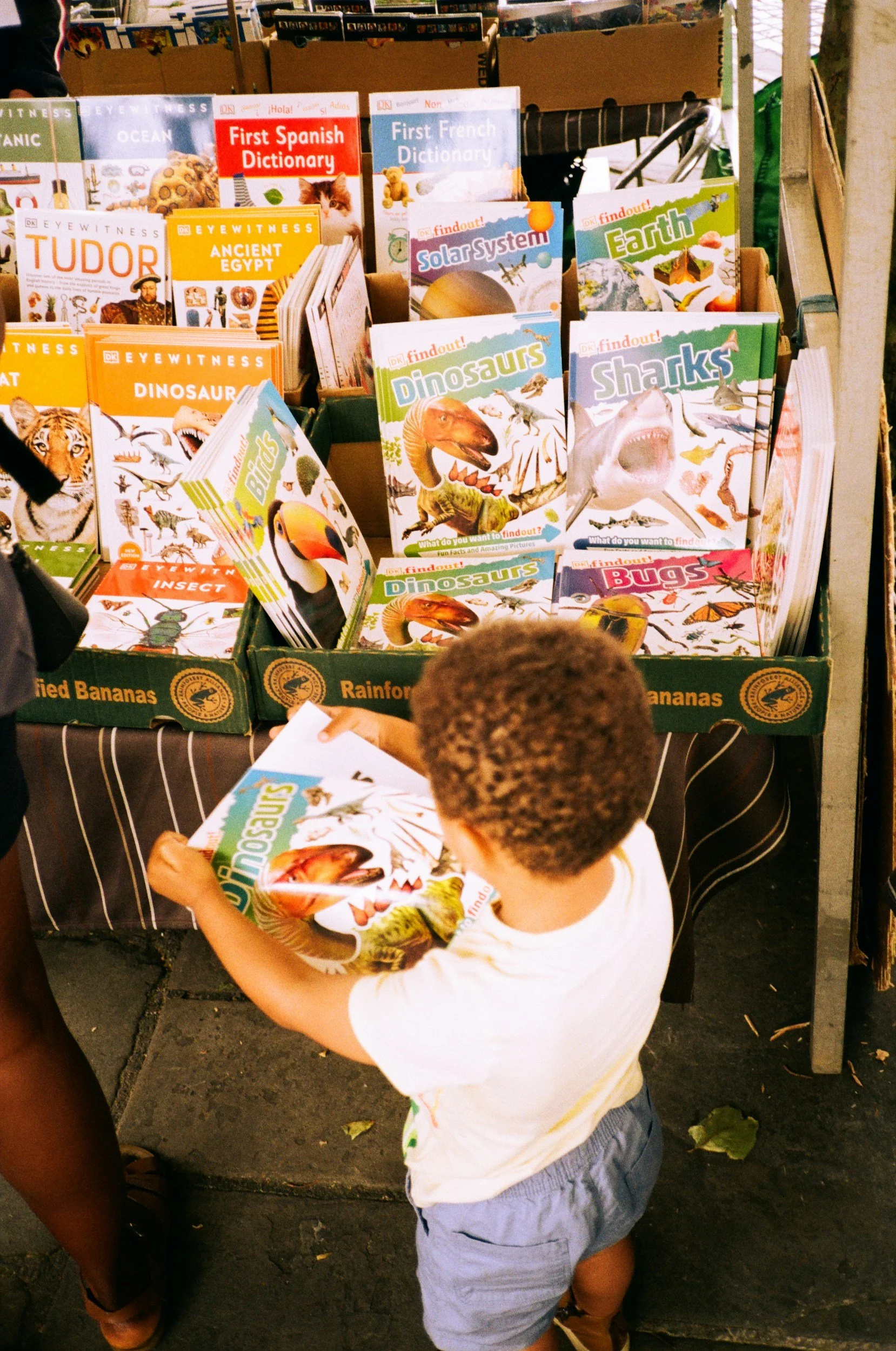 Magazines for Young Readers