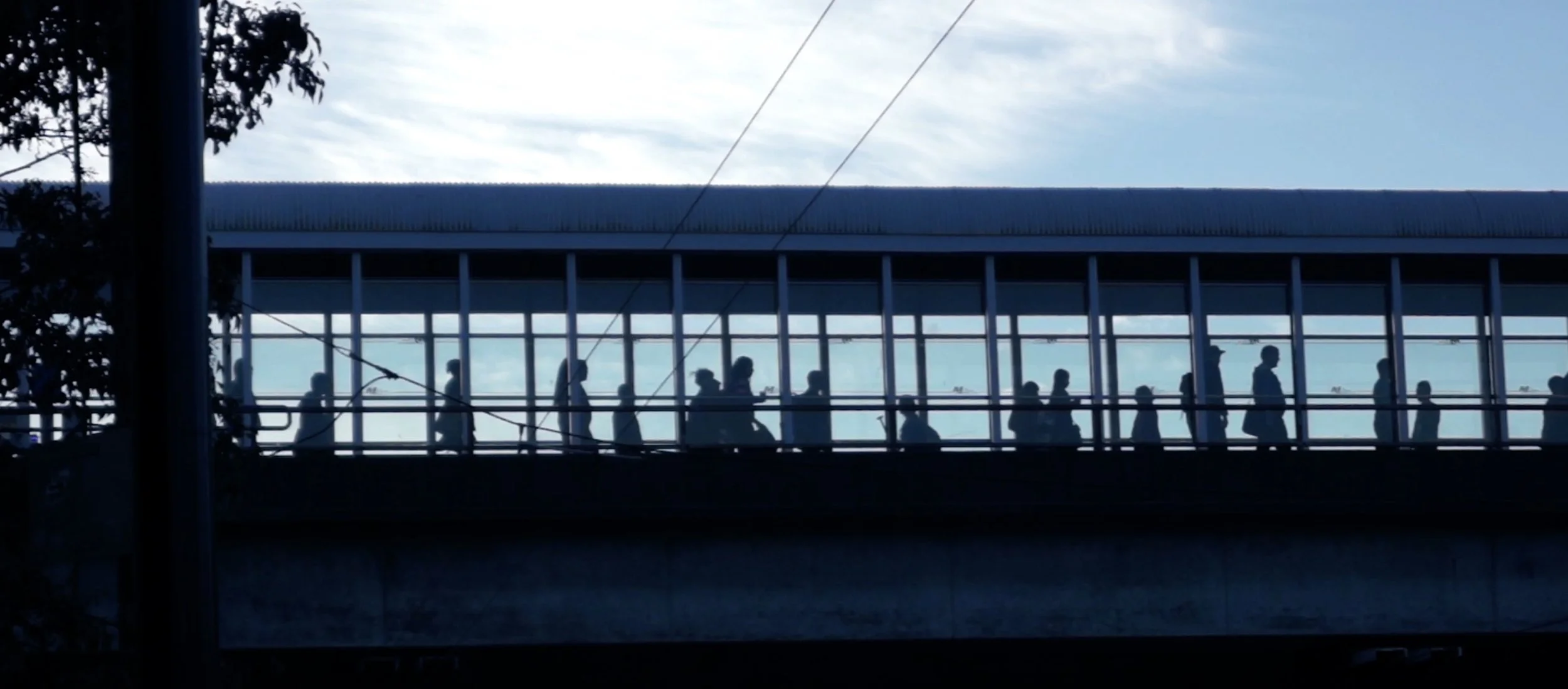 Contact video static.jpeg