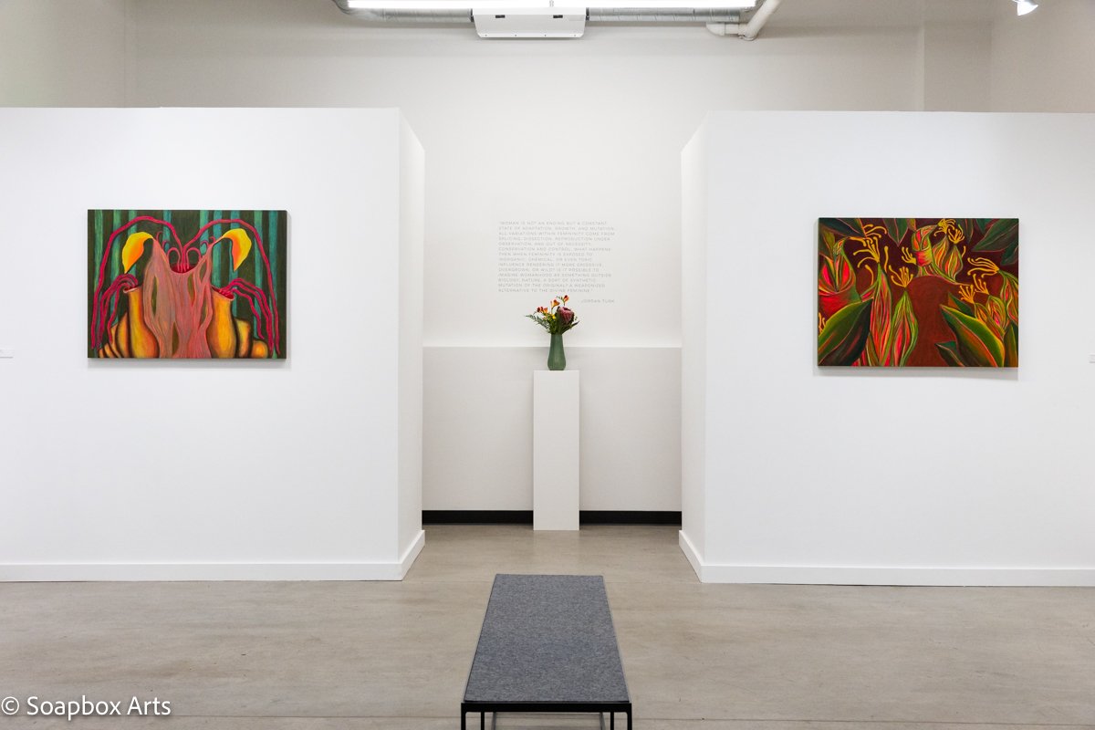 SoapboxArts_Installation_2.jpg
