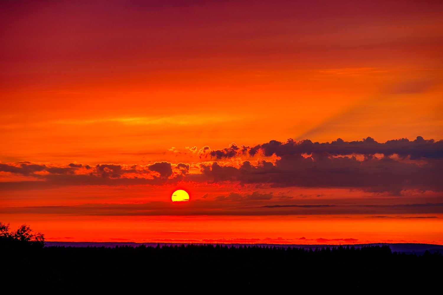 Ein Sonnenuntergang mit orangem Himmel, Wolken und einer dunklen Silhouette von Bäumen am Horizont.