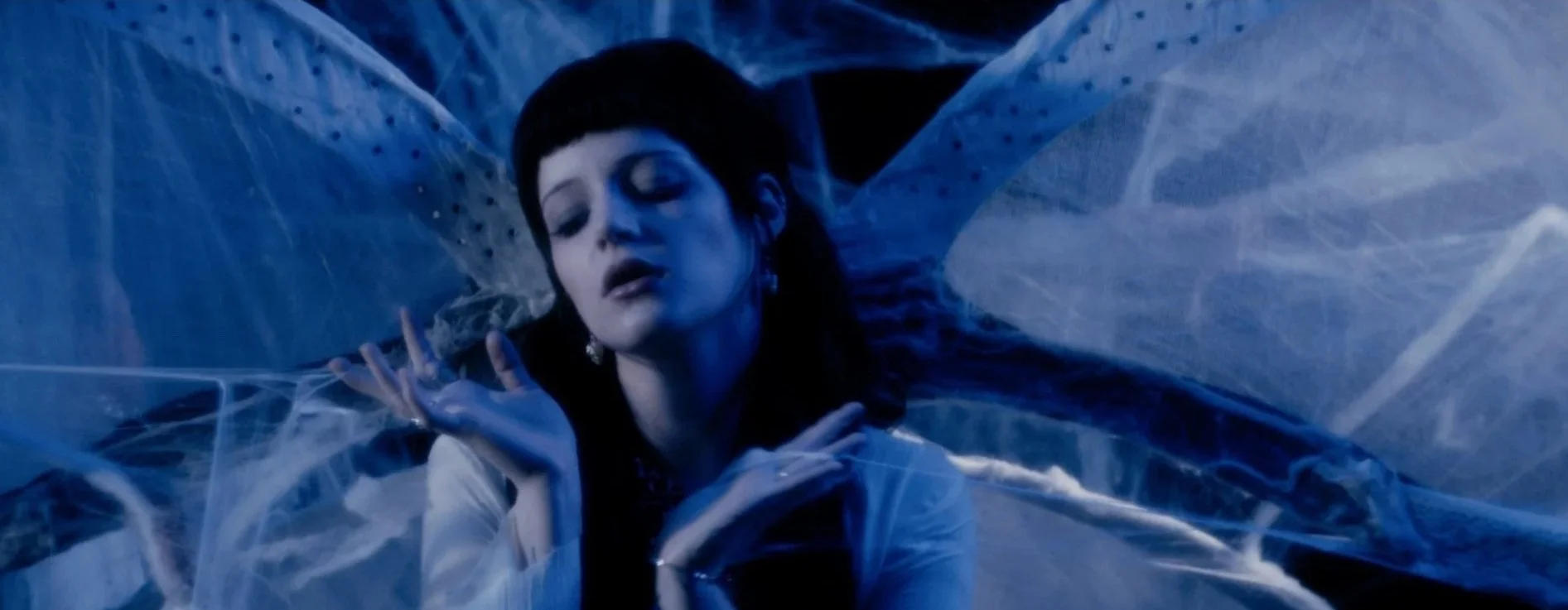 SYLVIA FAE: TREMORS