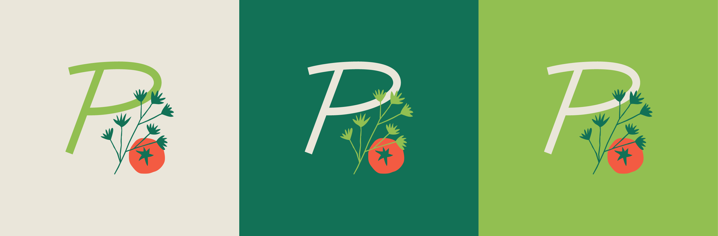 secondary_Behance 2.png