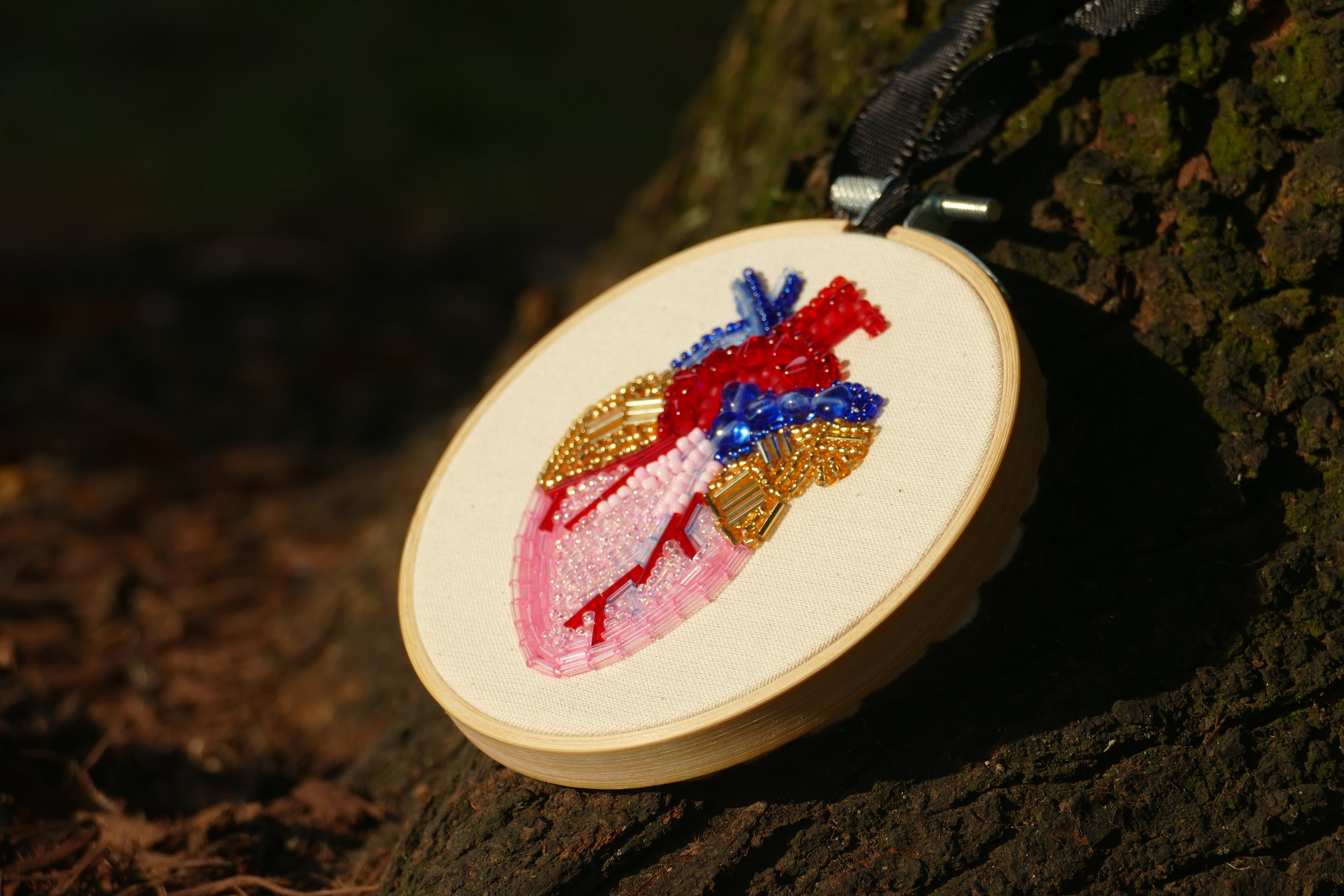 Anatomical heart (second photo).jpeg