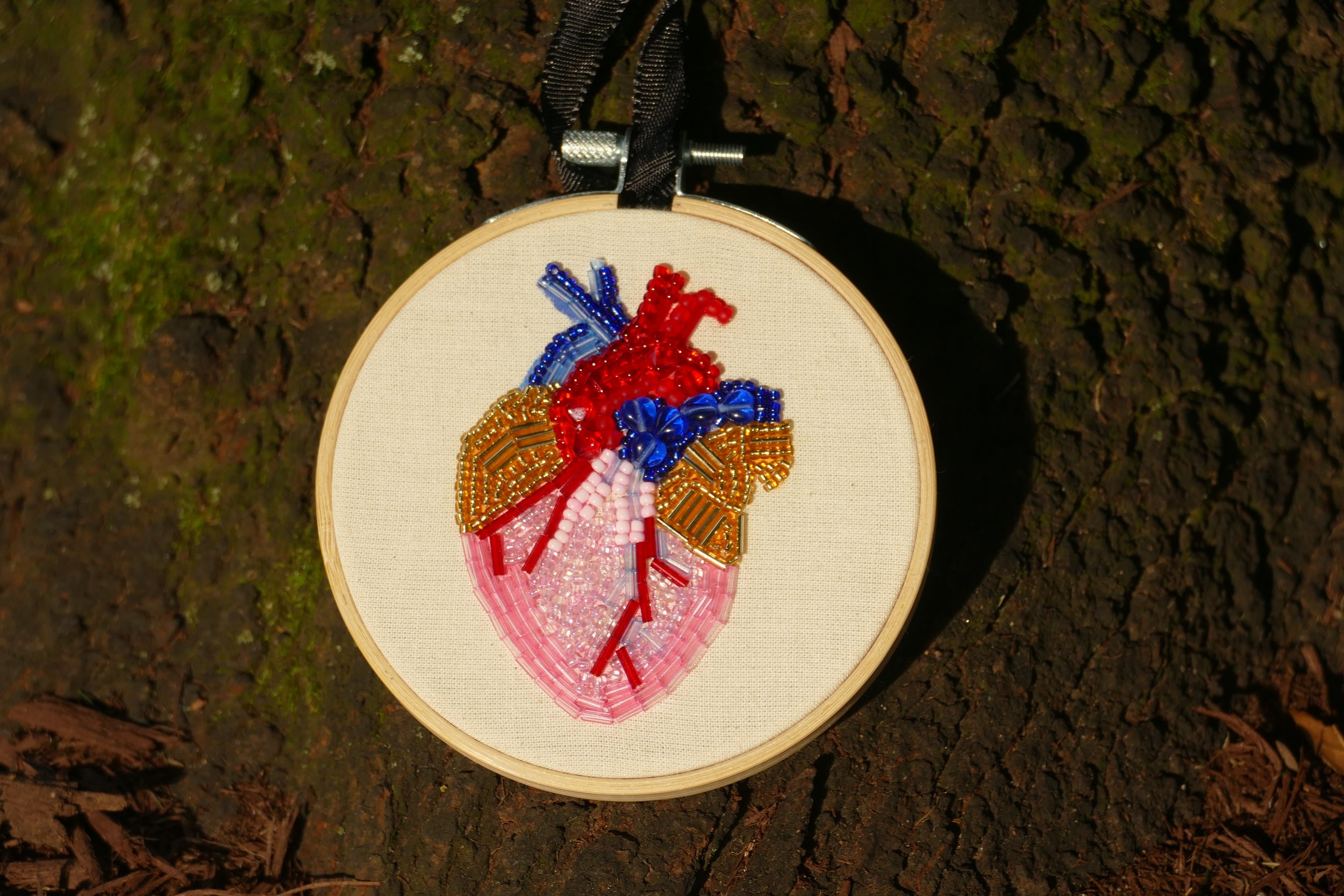 Anatomical heart (First photo).jpeg