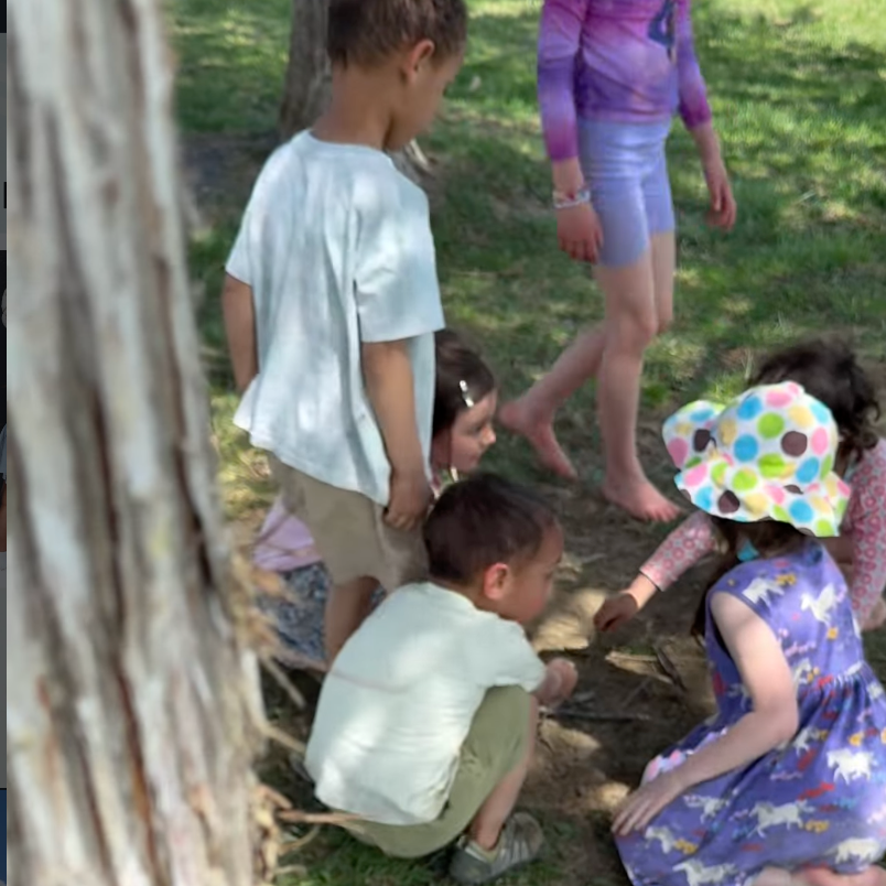 Forest Fridays with Wander Valley 