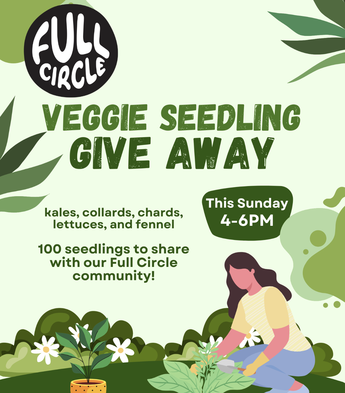 Veggie Seedlings Give Away