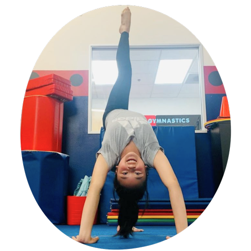 Us Too Gymnastics, business photo 1