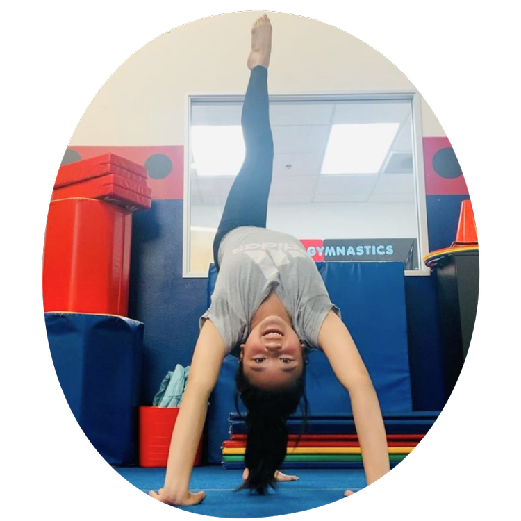 Us Too Gymnastics business photo