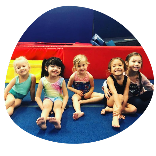 Us Too Gymnastics, business photo 3