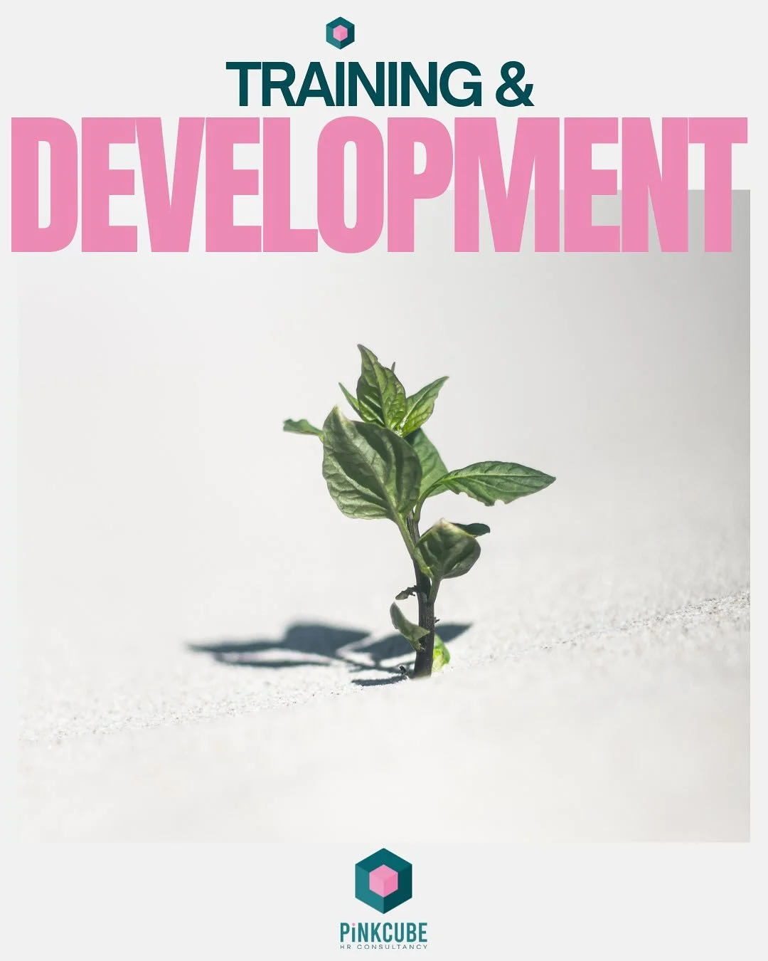 💡Did you know we don&rsquo;t just talk HR - we teach it too?

🙌 From managing disciplinaries to building confident leaders, we deliver tailored practical training that helps managers get it right! 

Because great management isn&rsquo;t luck . . . I
