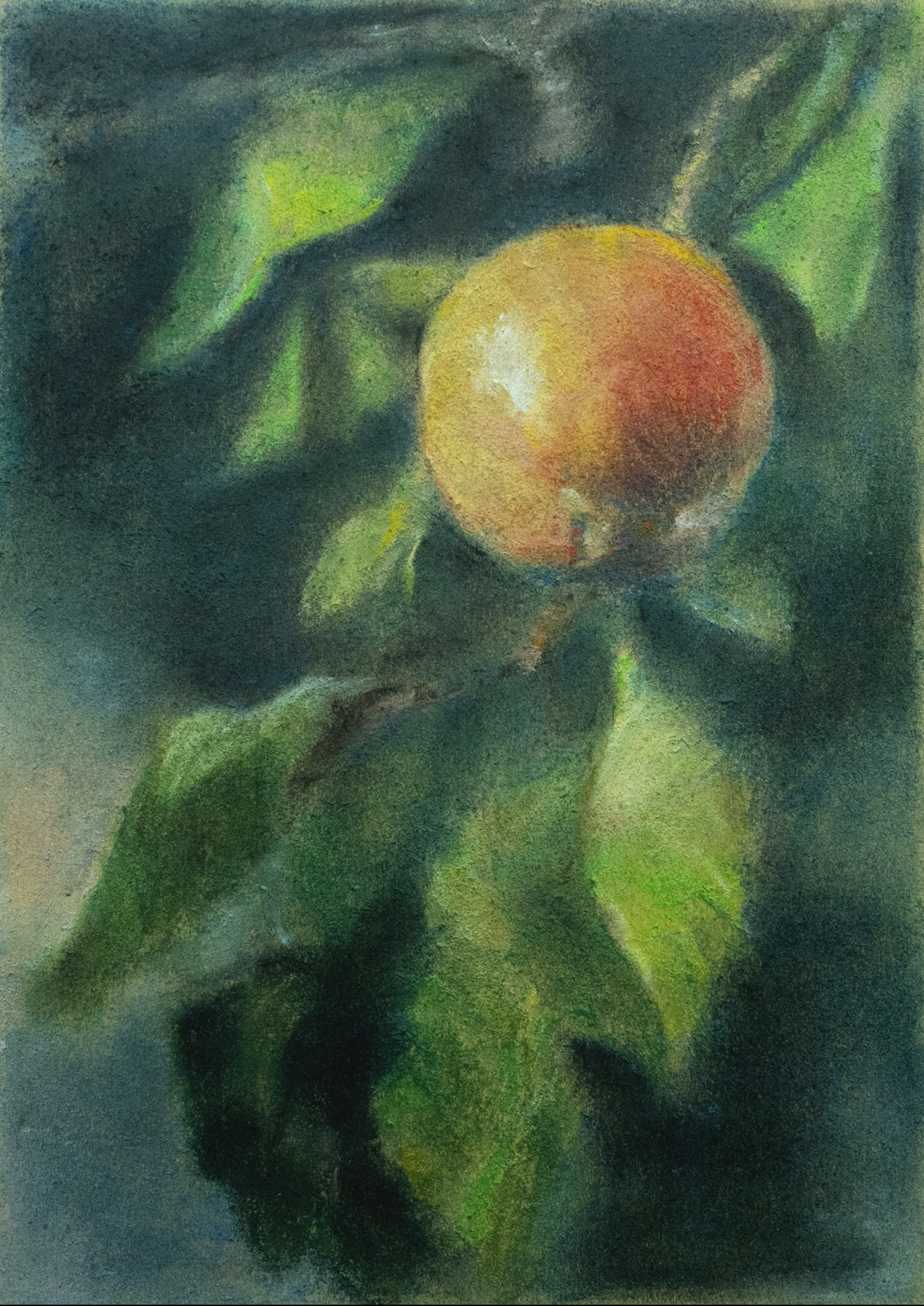 Screenshot 2026-03-25 at 12.47.40 PM.png