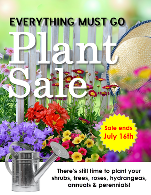 Siegel's+Plant+Sale+v2.png