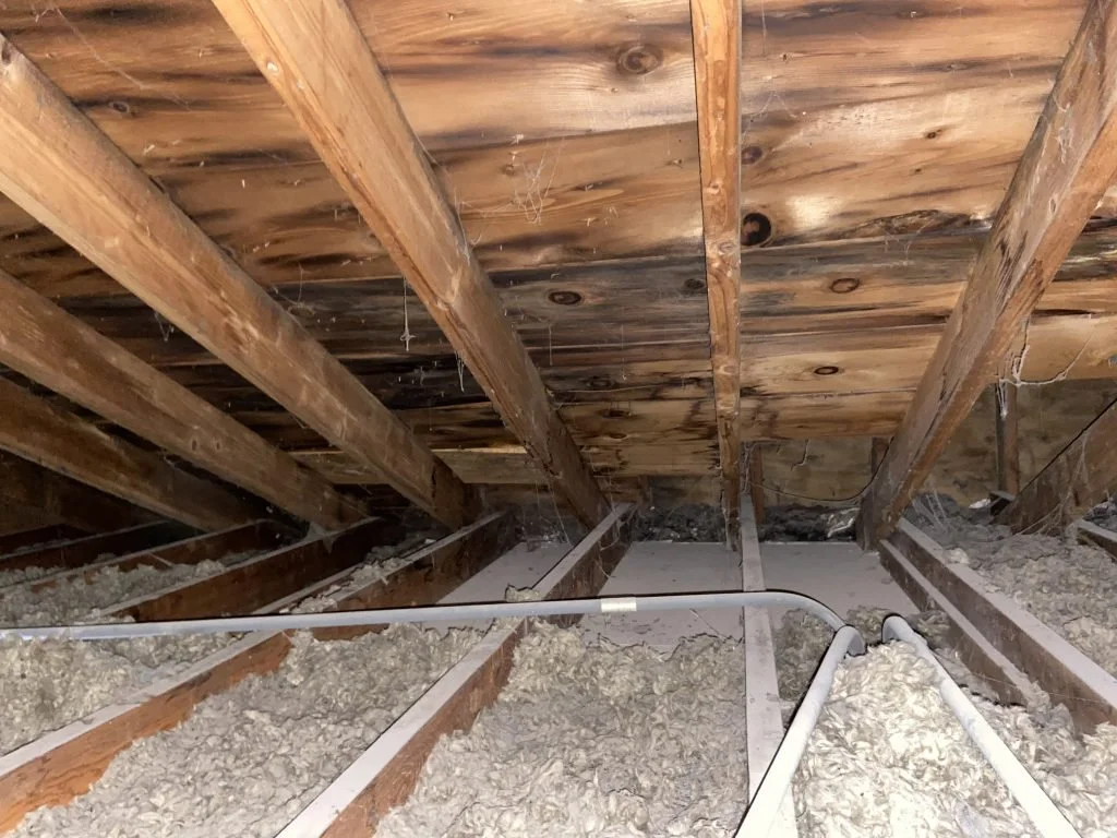 Attic-insulation-removal-blow-in