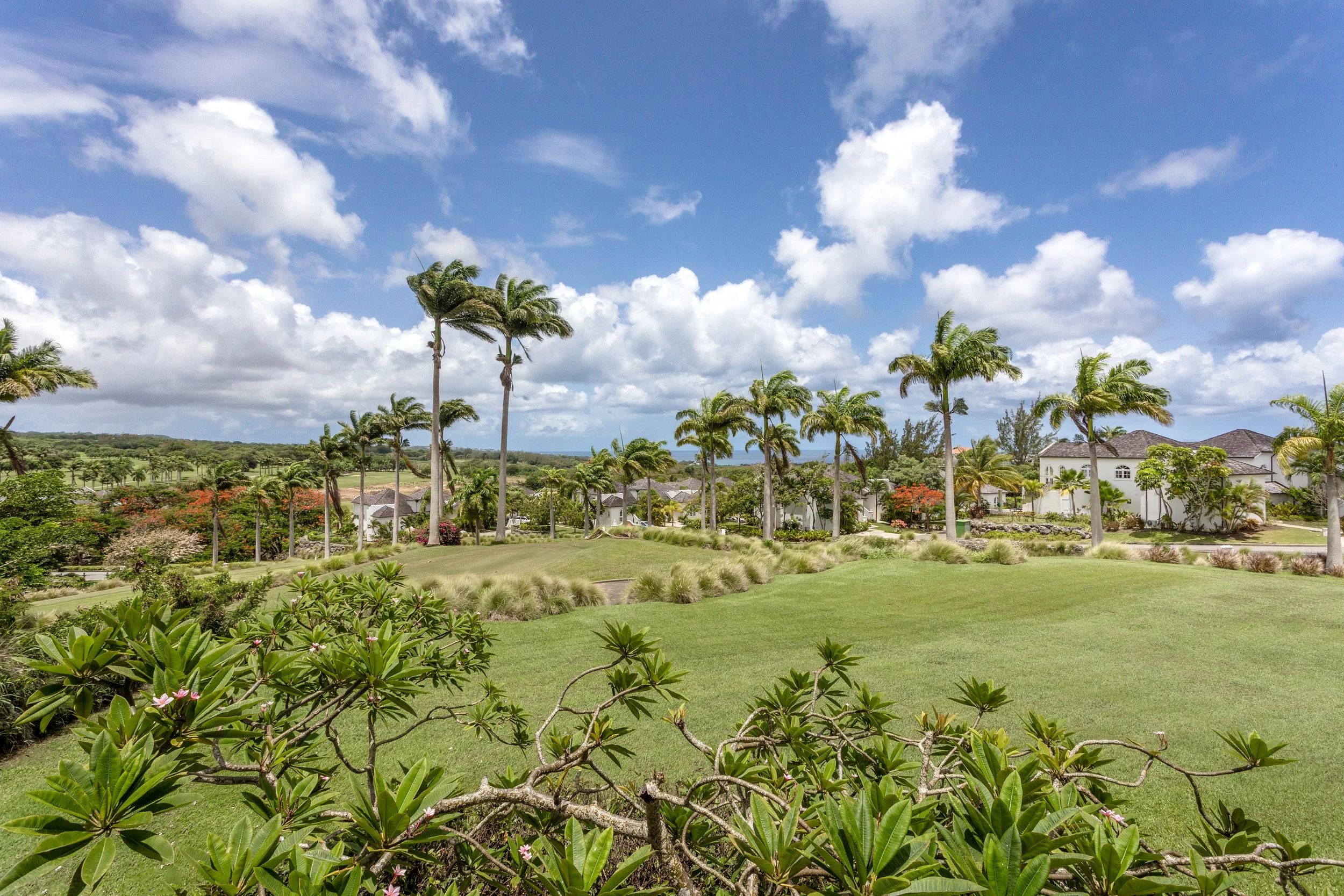 forest-hills-golf view Diana.jpg