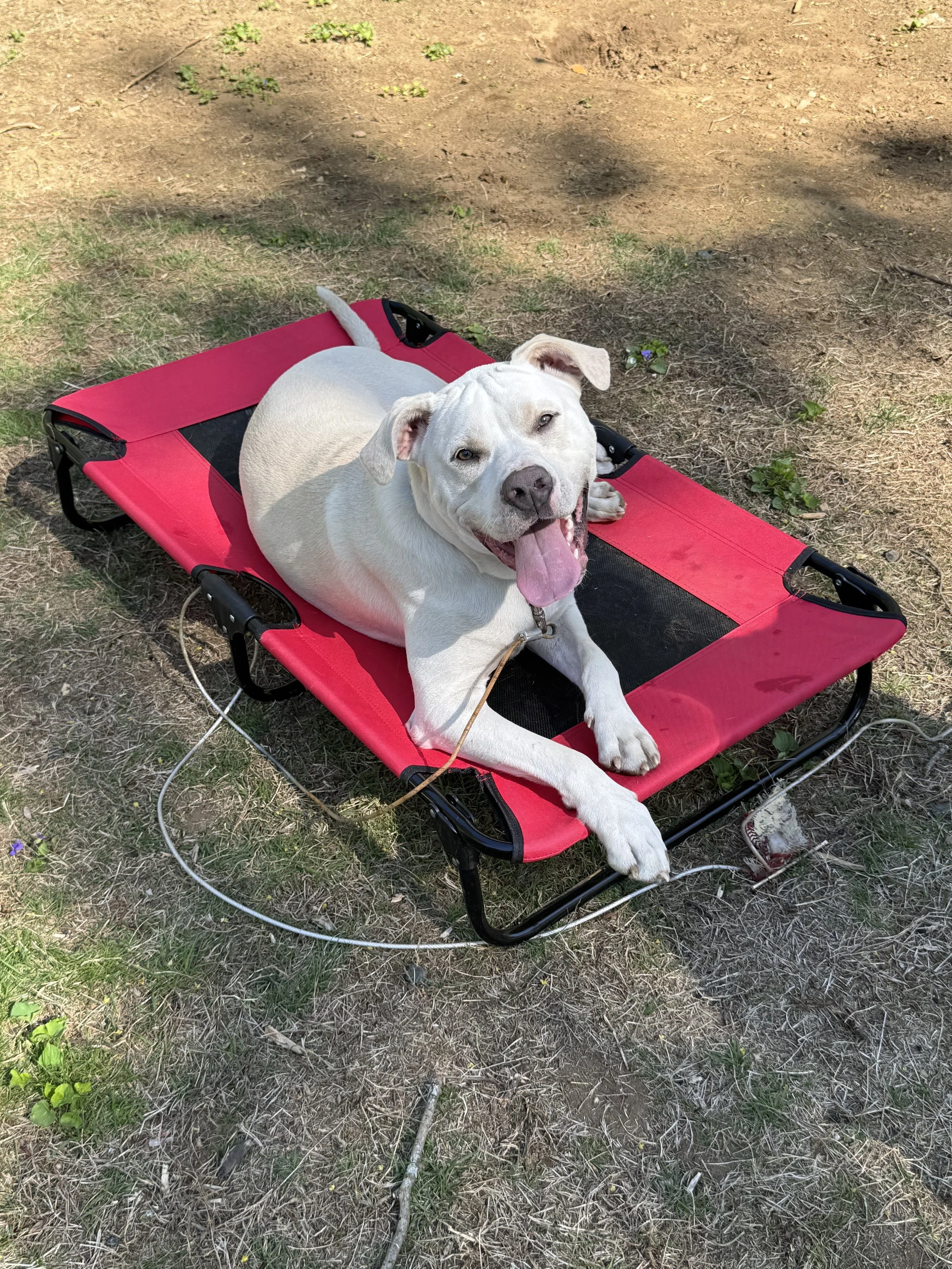 Casper Training.jpg