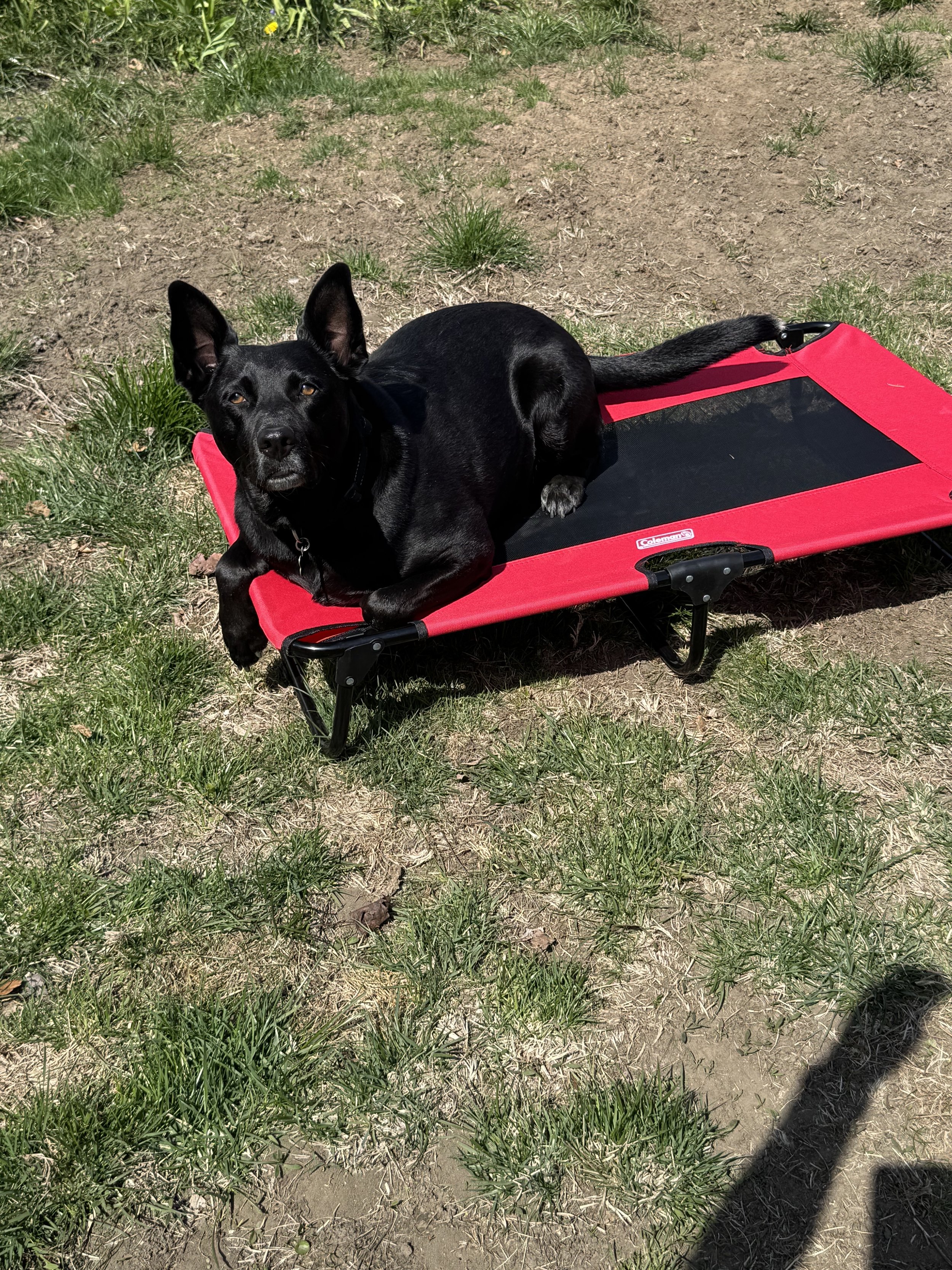 Shade training.jpg