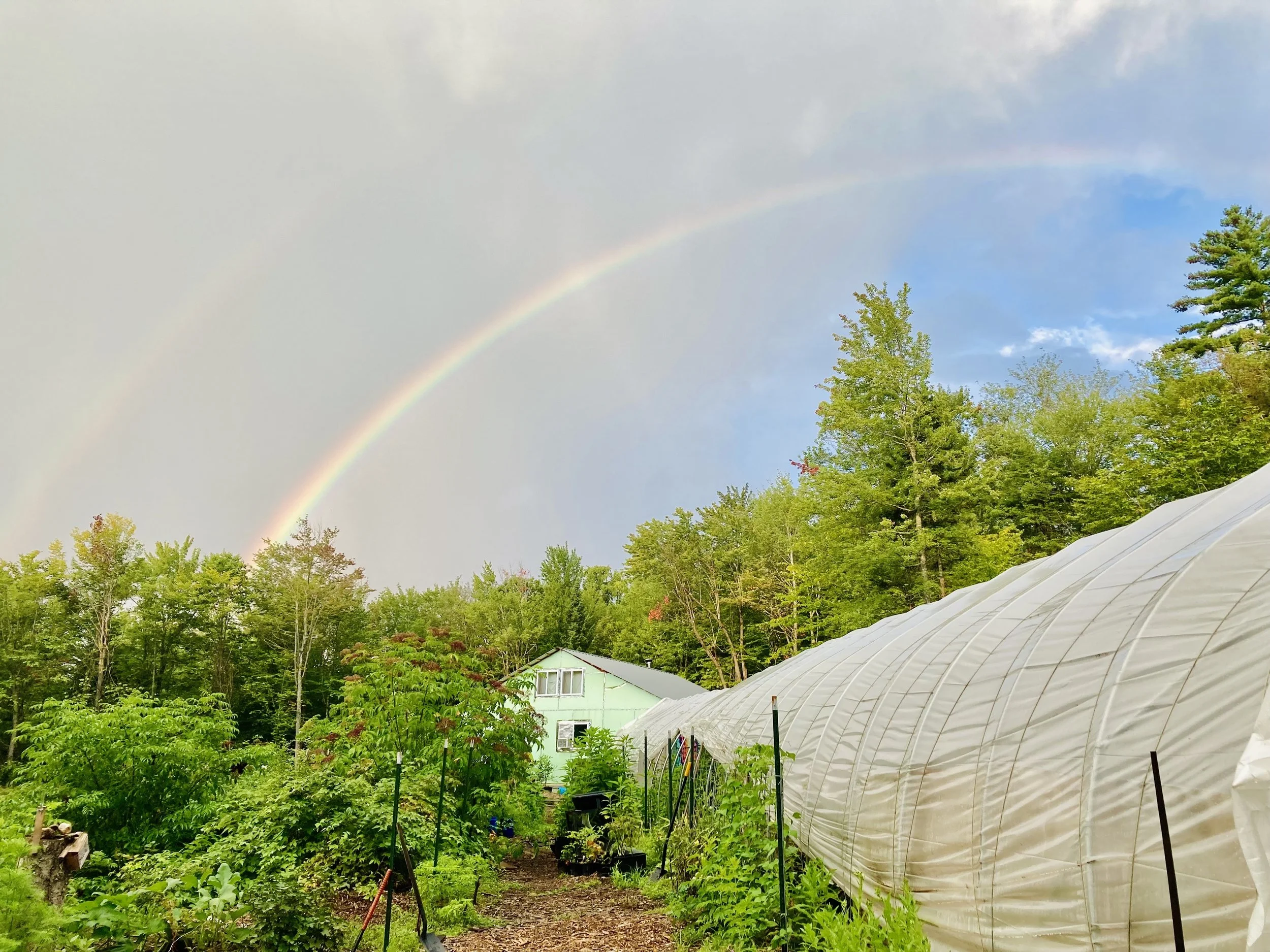 Vegetable garden and greenhouses with double rainbow in the sky during daytime.