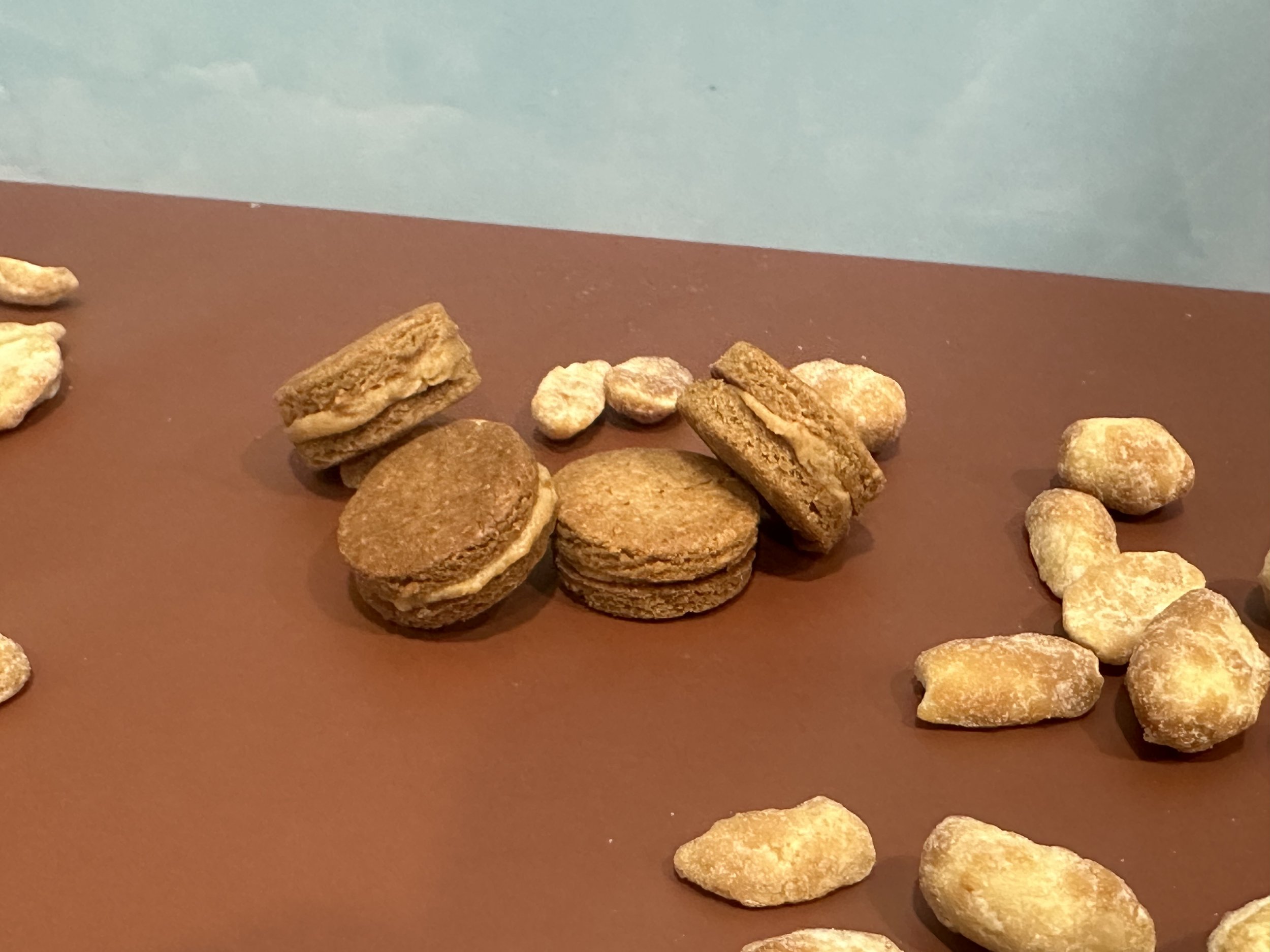 Peanut Butter Bites