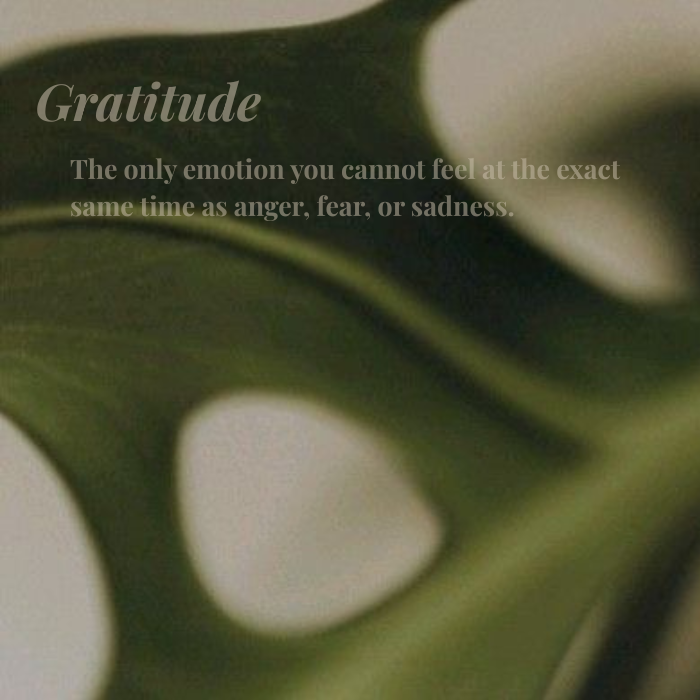 How to Practice Gratitude in Your Transition Period