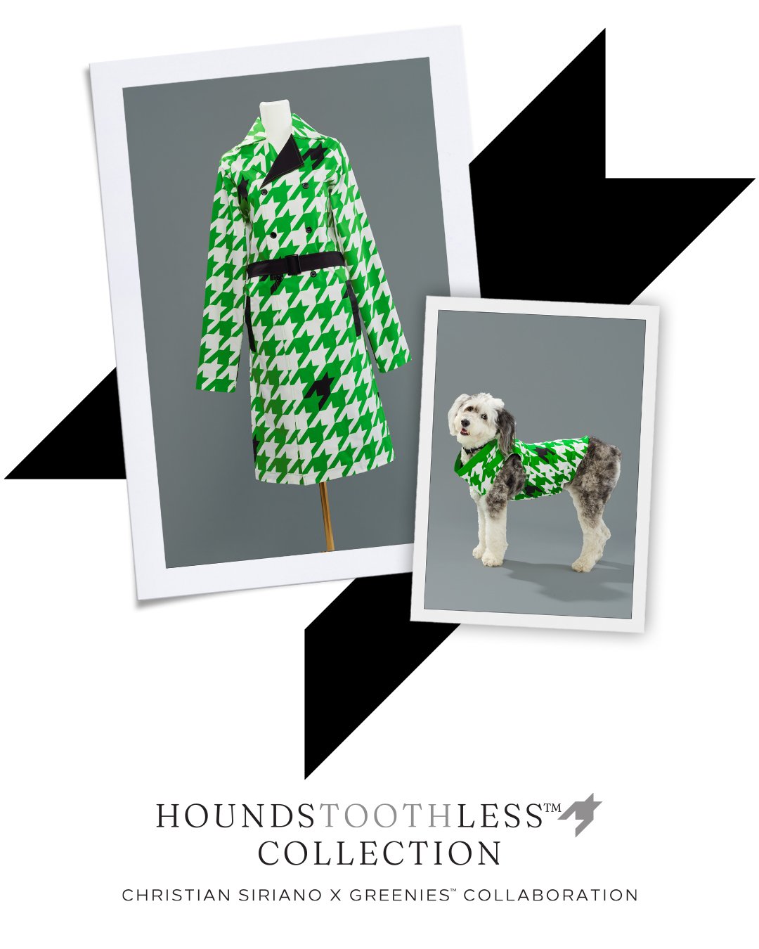 Greenies_Houndstoothless_PRKeyVisual_4X5_03 copy.jpg