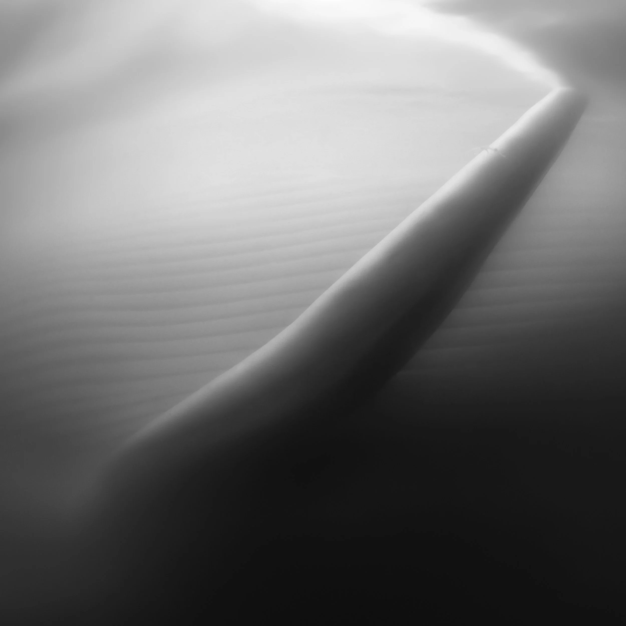 _U5I1633.3.jpg