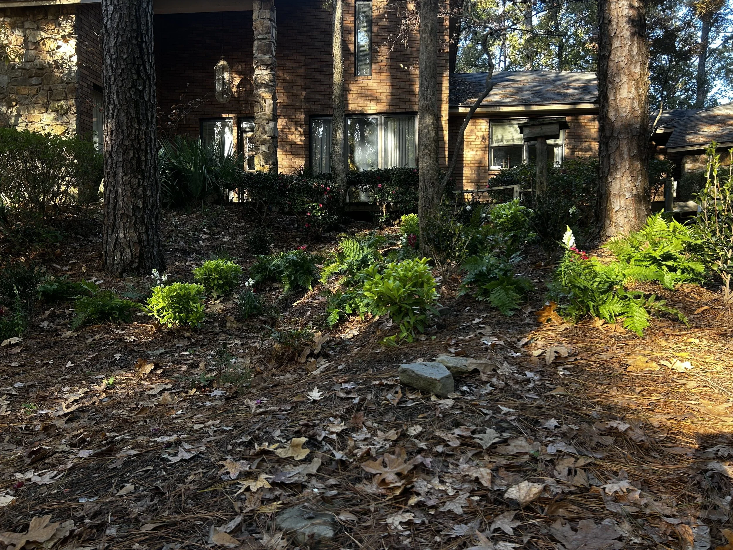 Why Where You Plant Matters More Than What You Plant