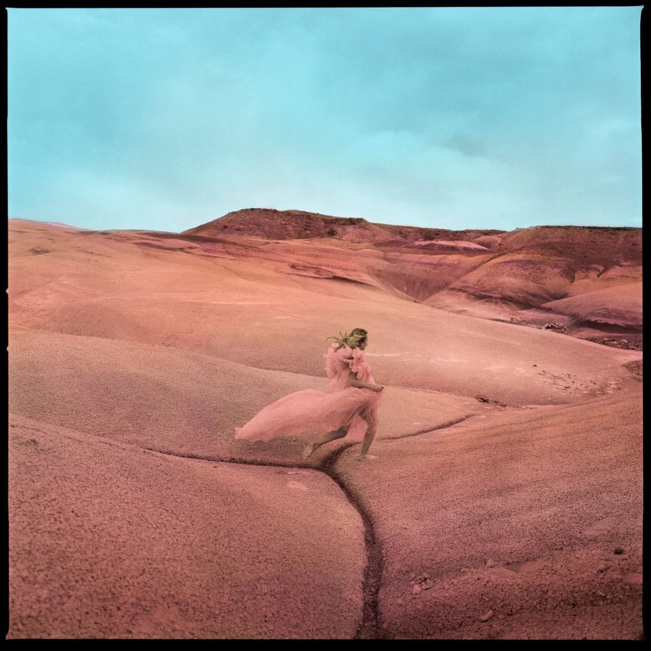 "Strays" by Margo Price