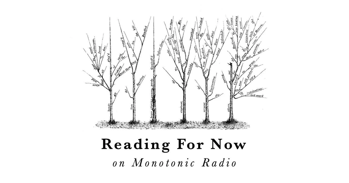 After a long hiatus of that where I had much to think about but little to say, Terms and Conditions is back and it&rsquo;s now AUDIO VISUAL. Reading For Now on @monotonicradio is a live book reading series focusing on critical works in a critical tim