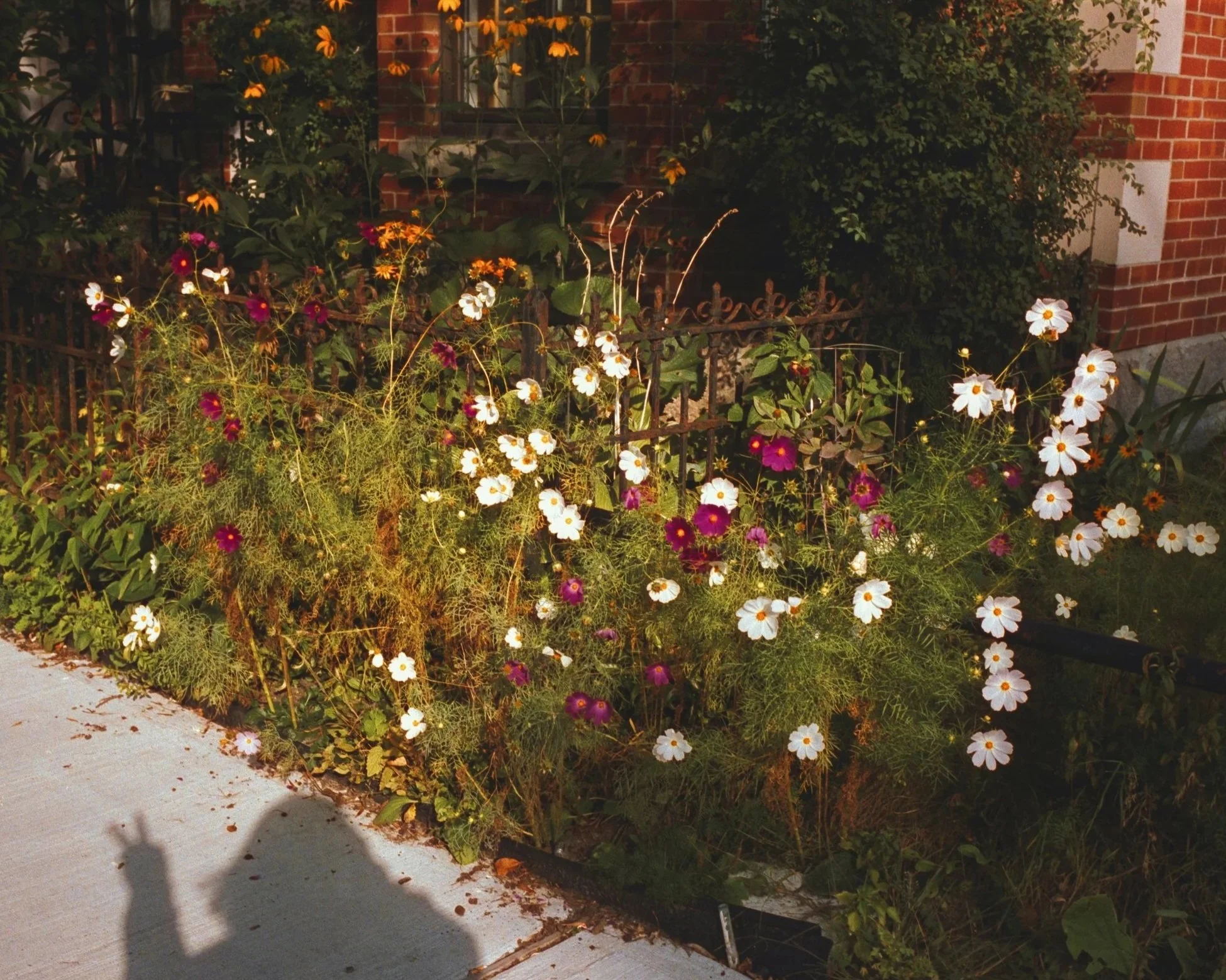 What to Expect from the Spring Market in Portland