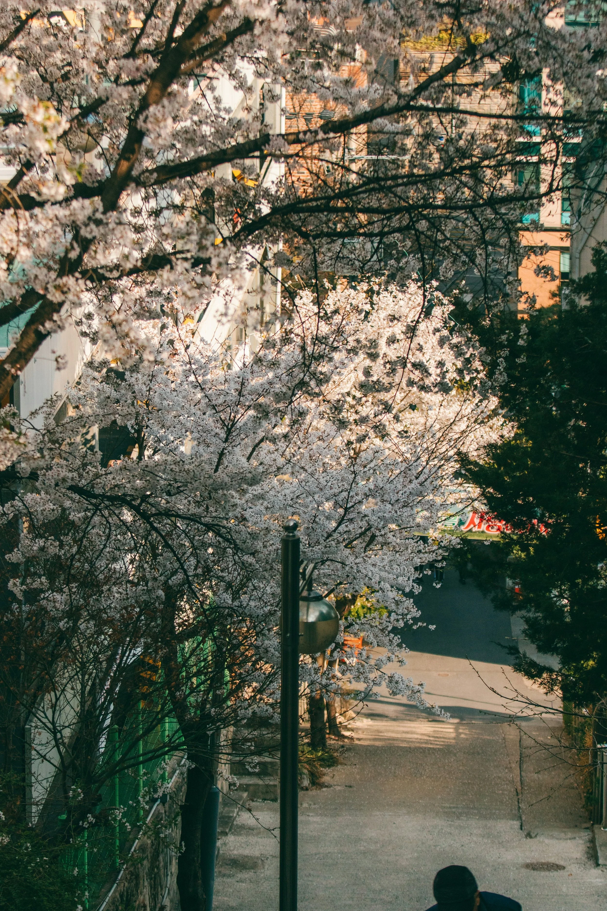How to Stay Settled Through the Spring Market and House-Hunt Like a Pro