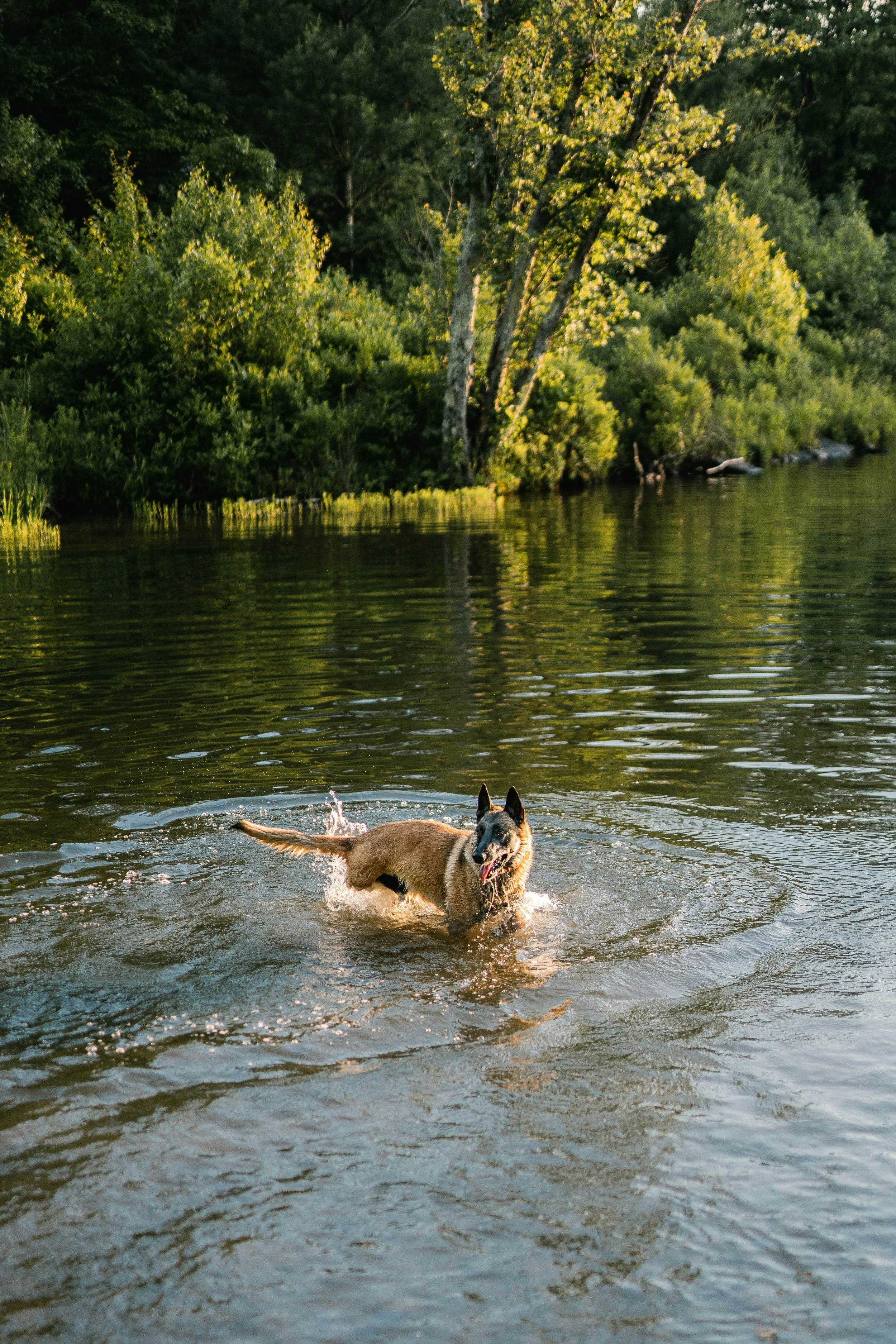 Our Favorite Local Spots to Grab Some Sun and Sand