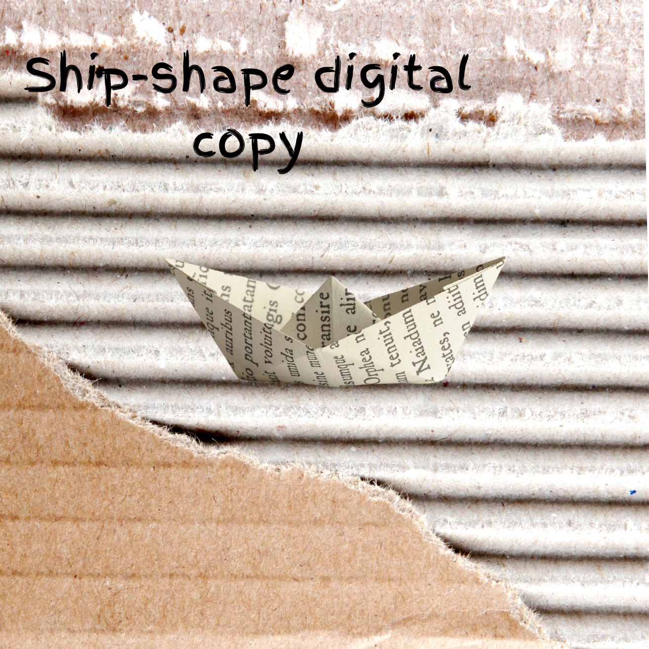 Ship-shape digital copy.png