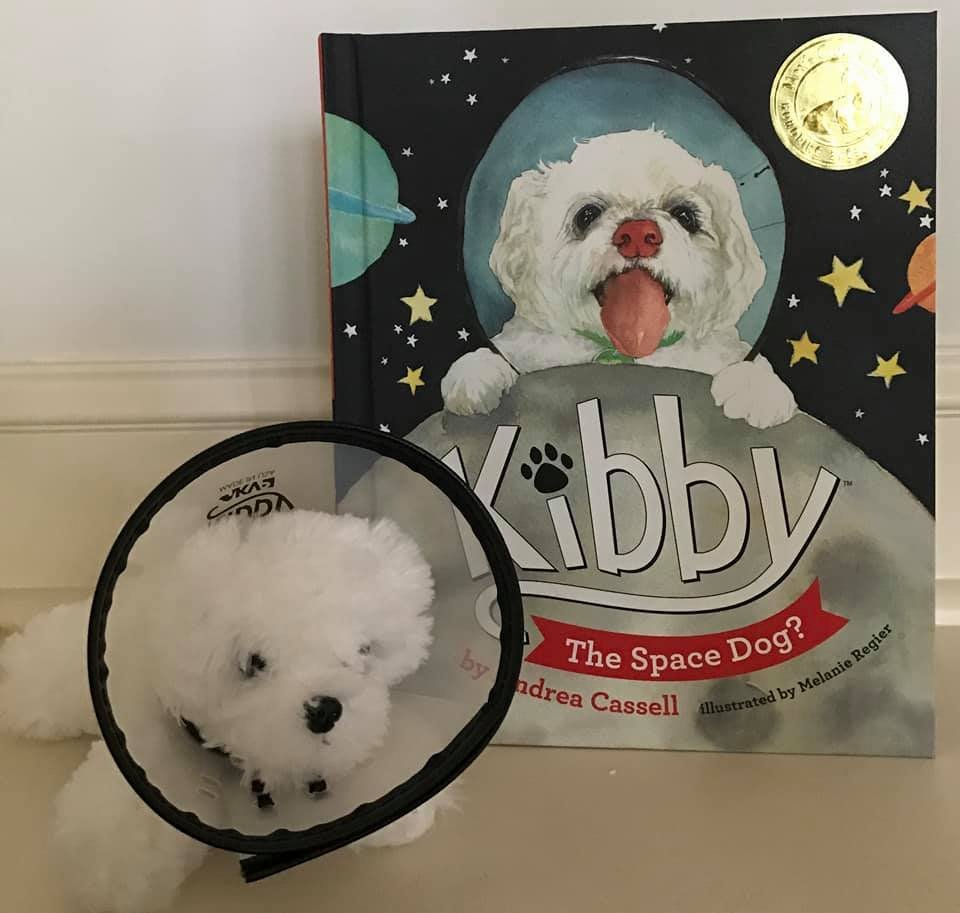 Kibby book and toy.jpeg