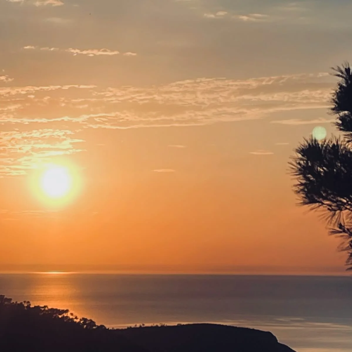 @theproposal.art off to new grounds&hellip;
follow us for updates. link in bio.

#TheProposal #artandhospitality #CreativeCommunity #CulturalExperience #TheTowerBangkok
#ArtInnovation #ibiza #ContemporaryCulture #DesignForLife #CreativeLiving
#Inspir