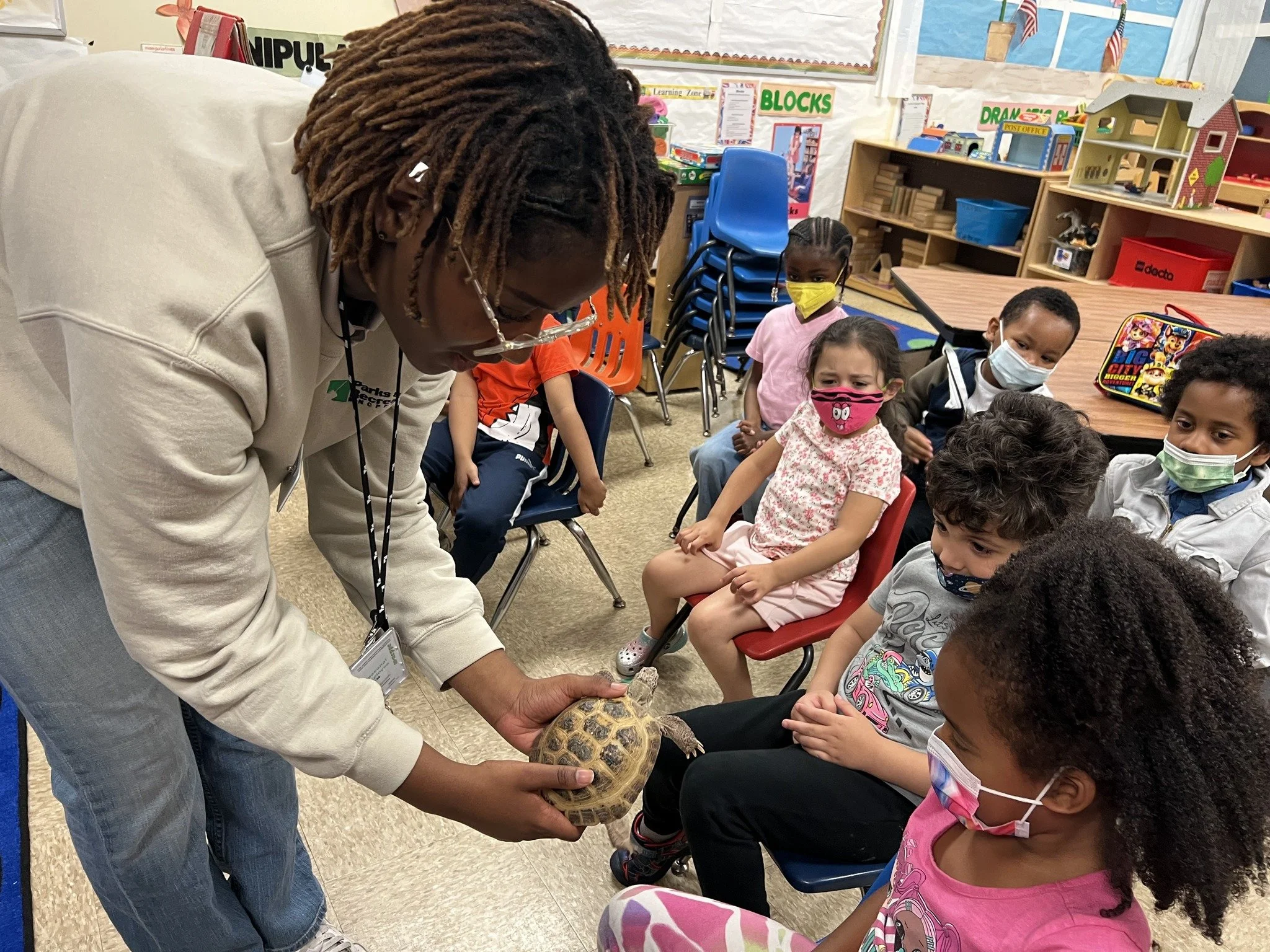 Animal Encounters: Wings, Legs, and Shells, Oh my!