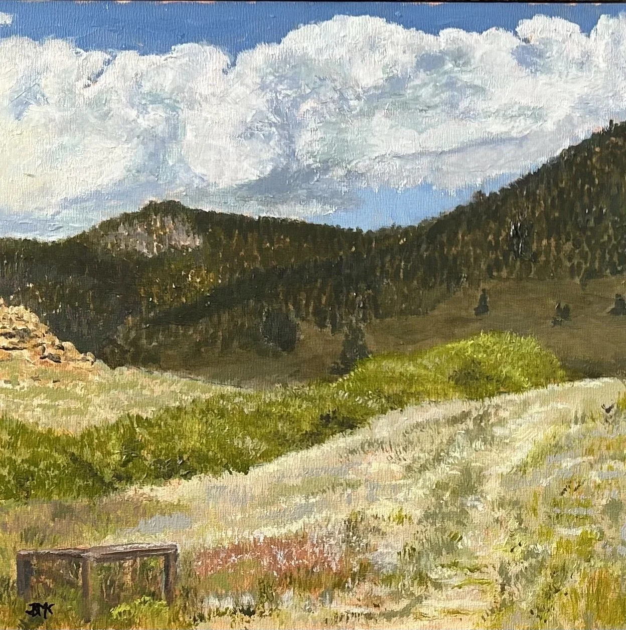 Tarryall Spillway Looking East