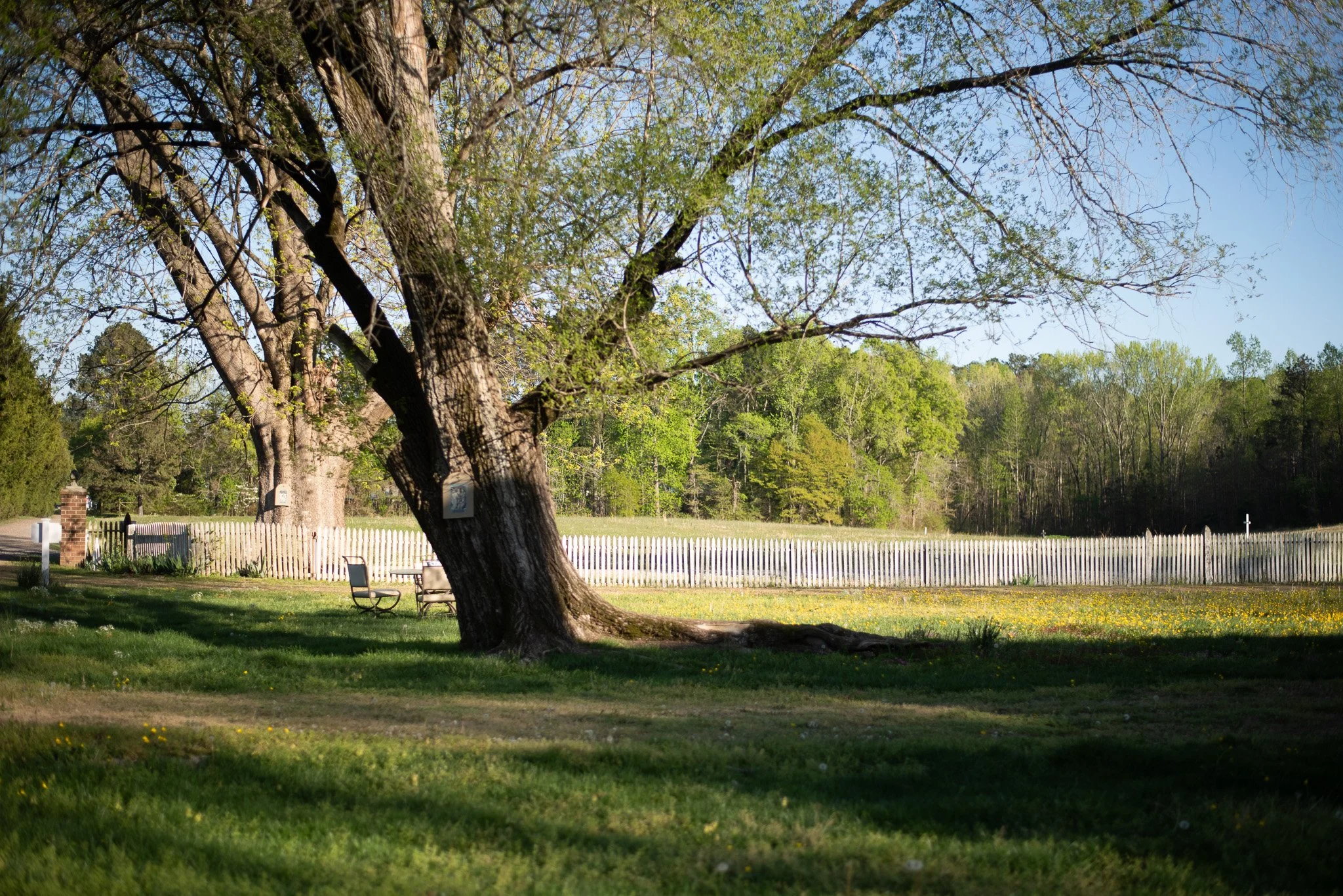 DSC_0147.jpg