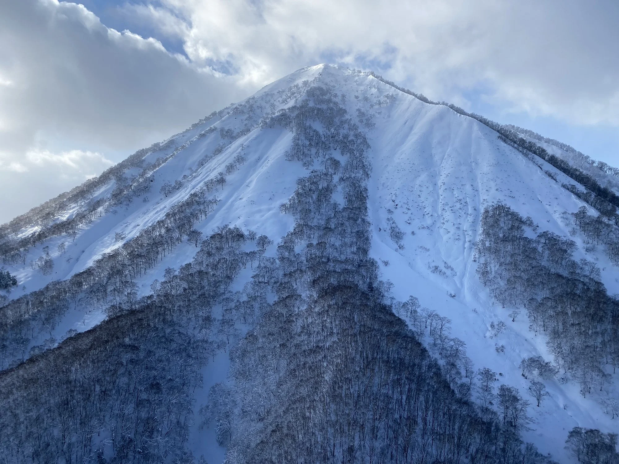 Snow-covered mountain peak with trees on slopes under partly cloudy sky.