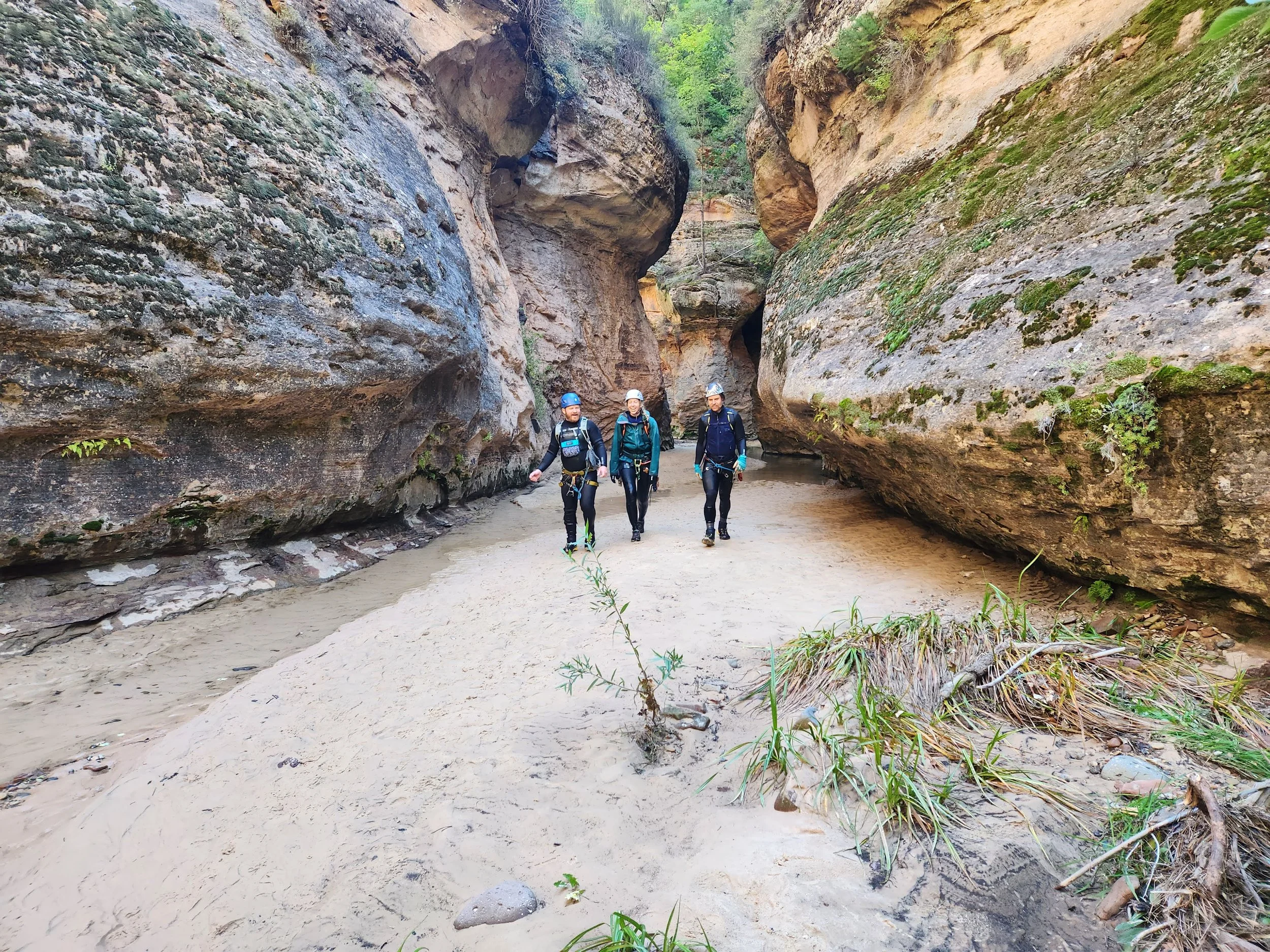 Three people dressed in outdoor gear, hiking helmets, and backpacks, walking through a narrow canyon with tall rocky walls covered with moss and small plants.