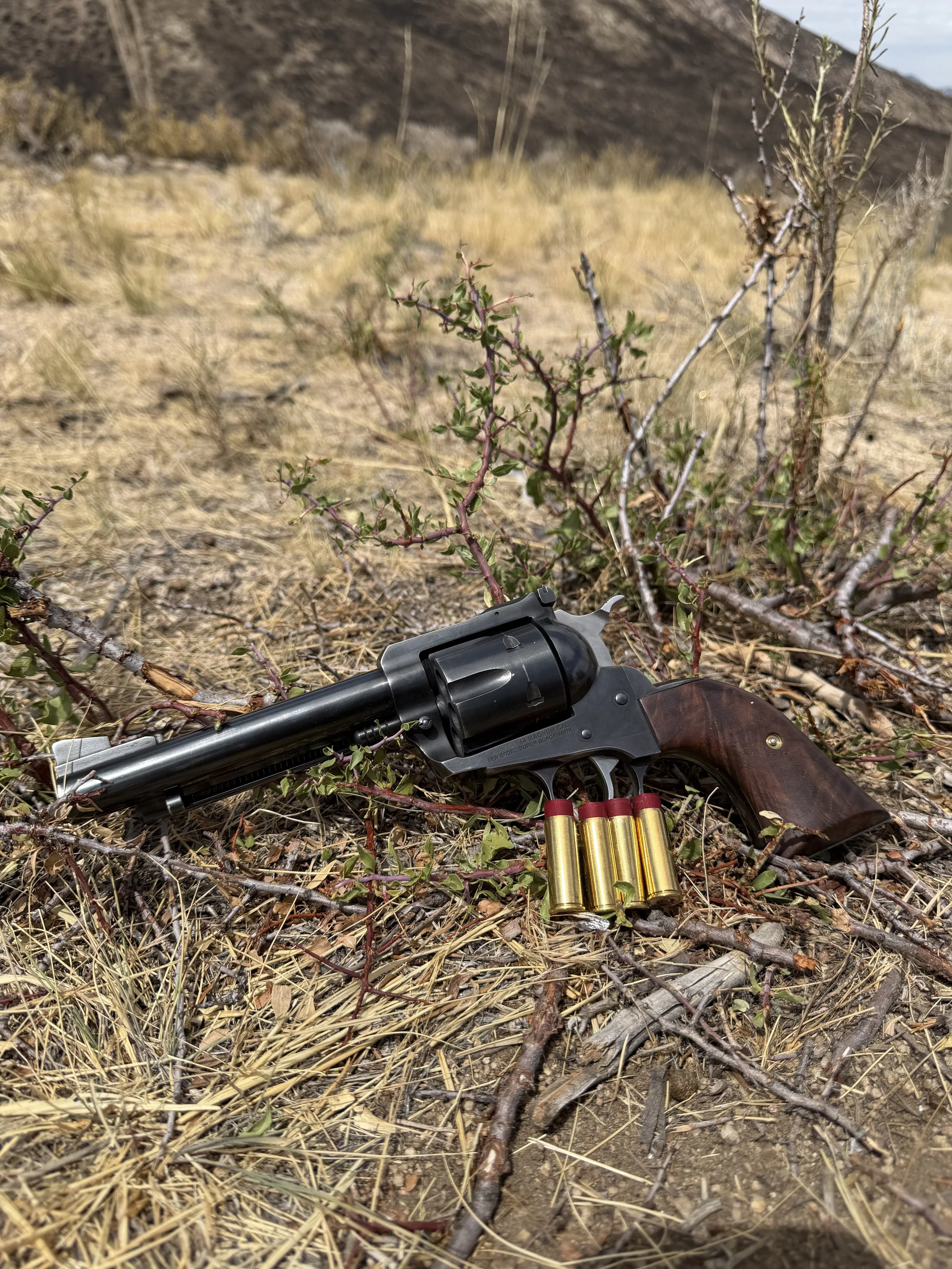 Handgun Shot Capsules