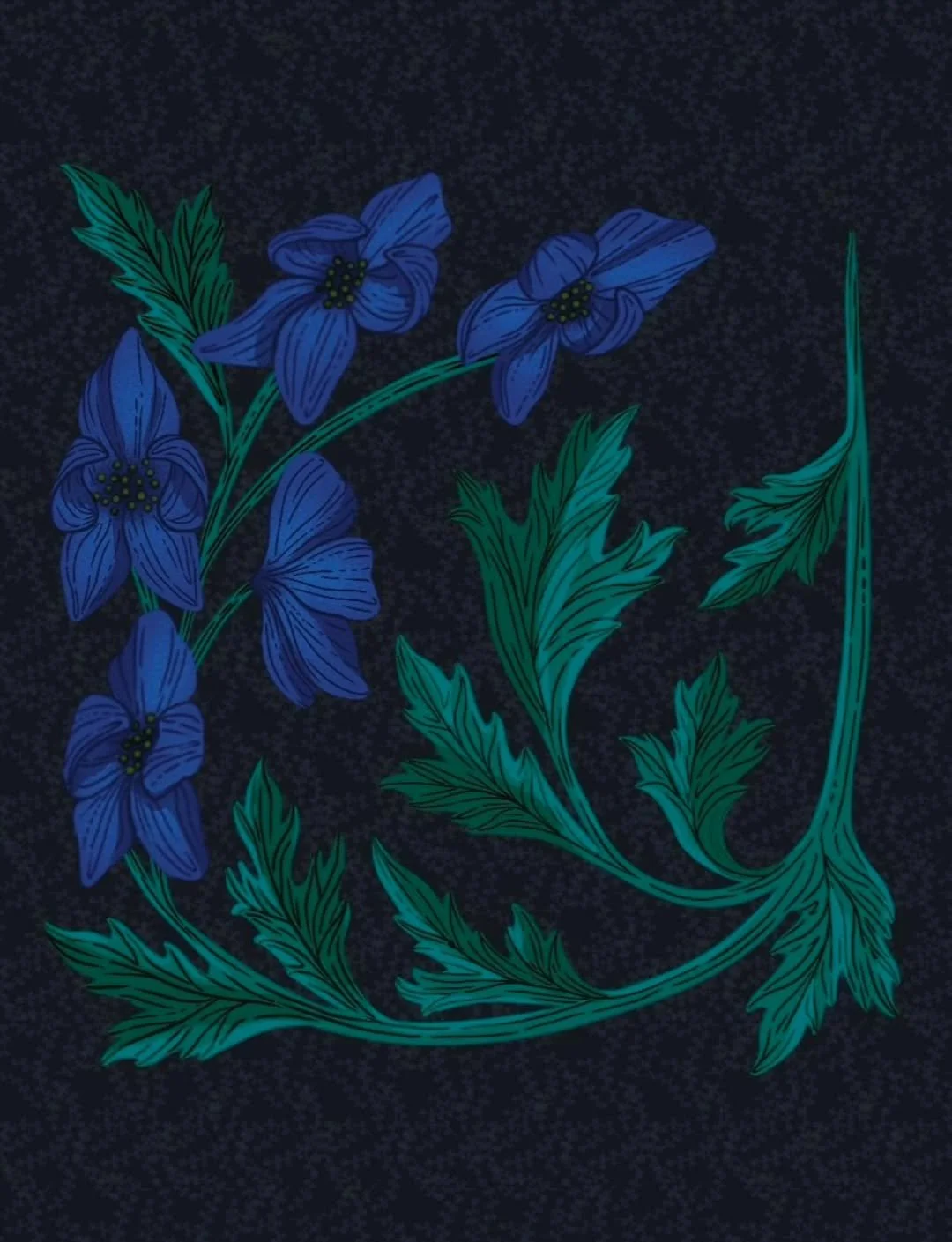 Im so happy I'm being so consistent with drawing this month.
This is #Monkshood another prompt of the #bloomtober2025 almost done 💪🏻
#bloomtober #poisonousflowers