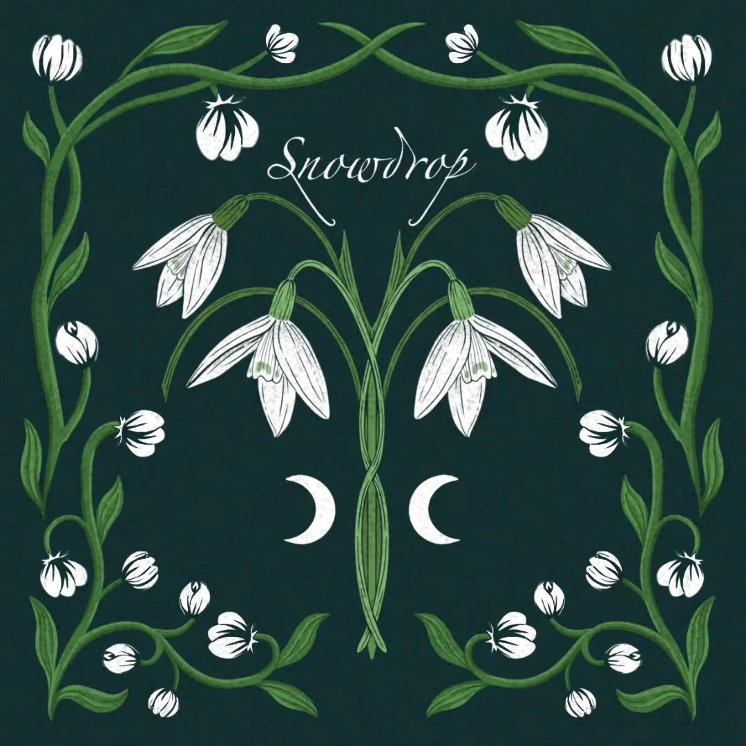 This month I'll spam you with poisonous flowers as I'm joining the #bloomtober challenge!
Thanks to @thepigeonletters for hosting it and come up with such nice prompts🌷