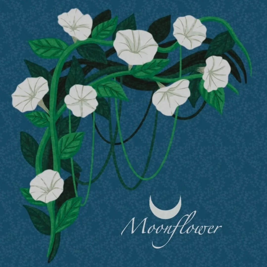 The new prompt of the challenge is #moonflower #bloomtober2025  I'm tired 
#bloomtober #poisonousflowers